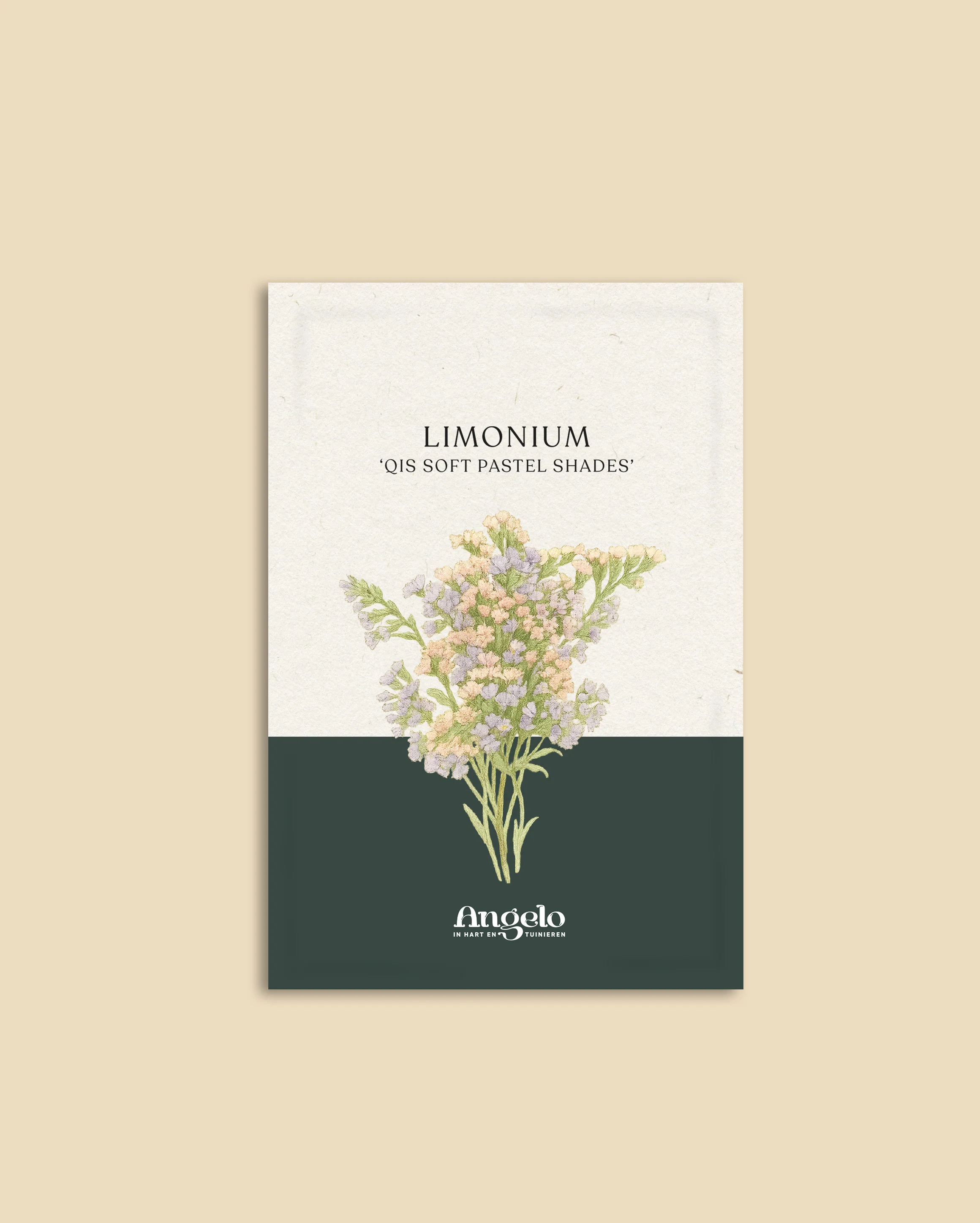 Miniatuur 2
