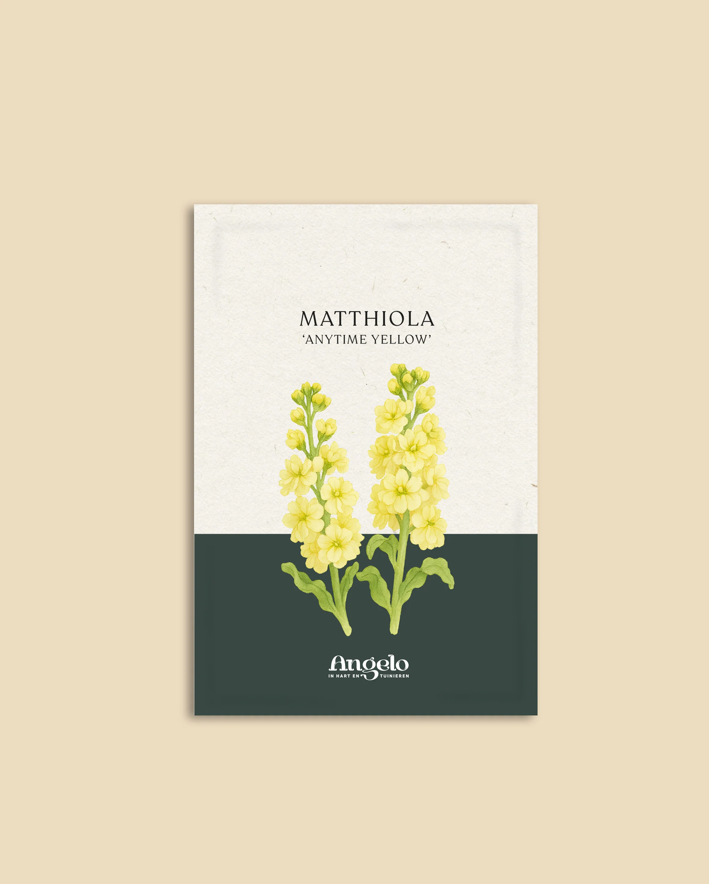 Miniatuur 2