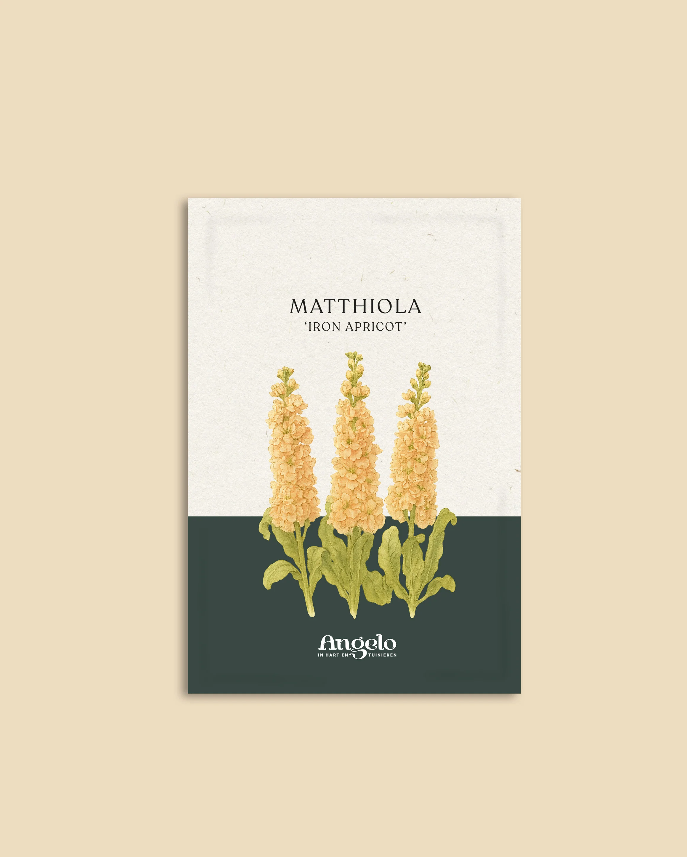 Miniatuur 2
