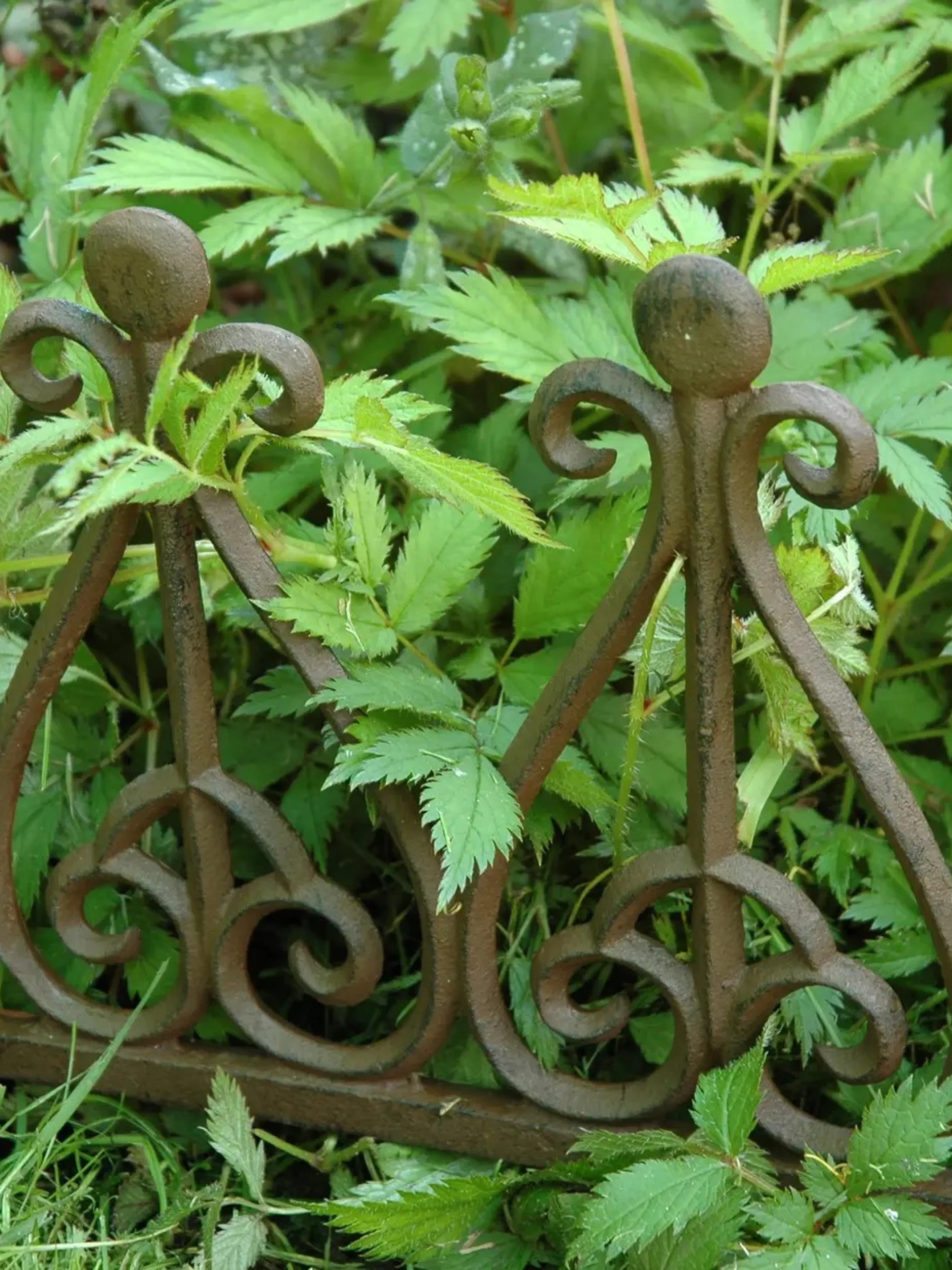 Miniatuur 2
