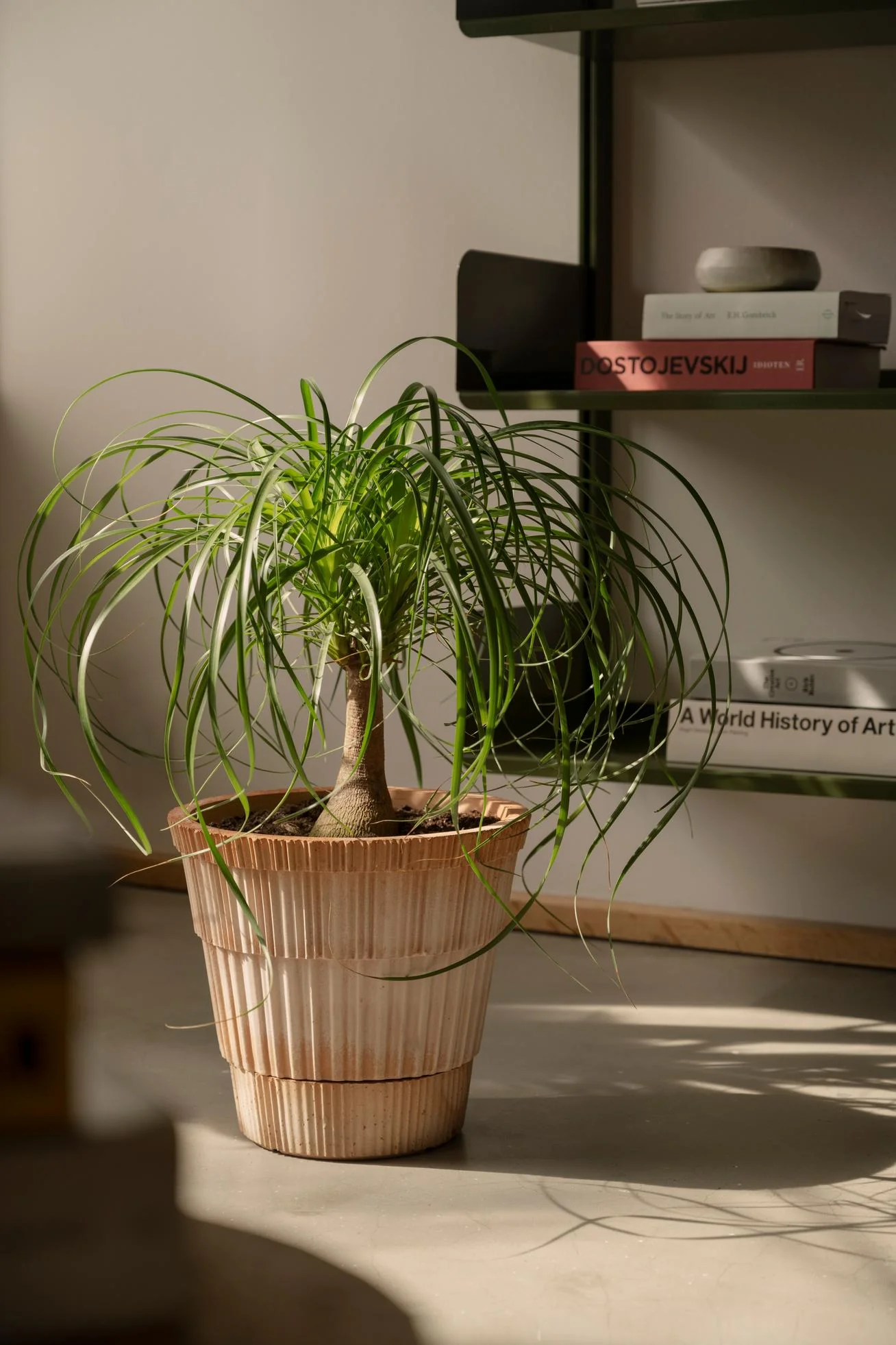 Miniatuur 1