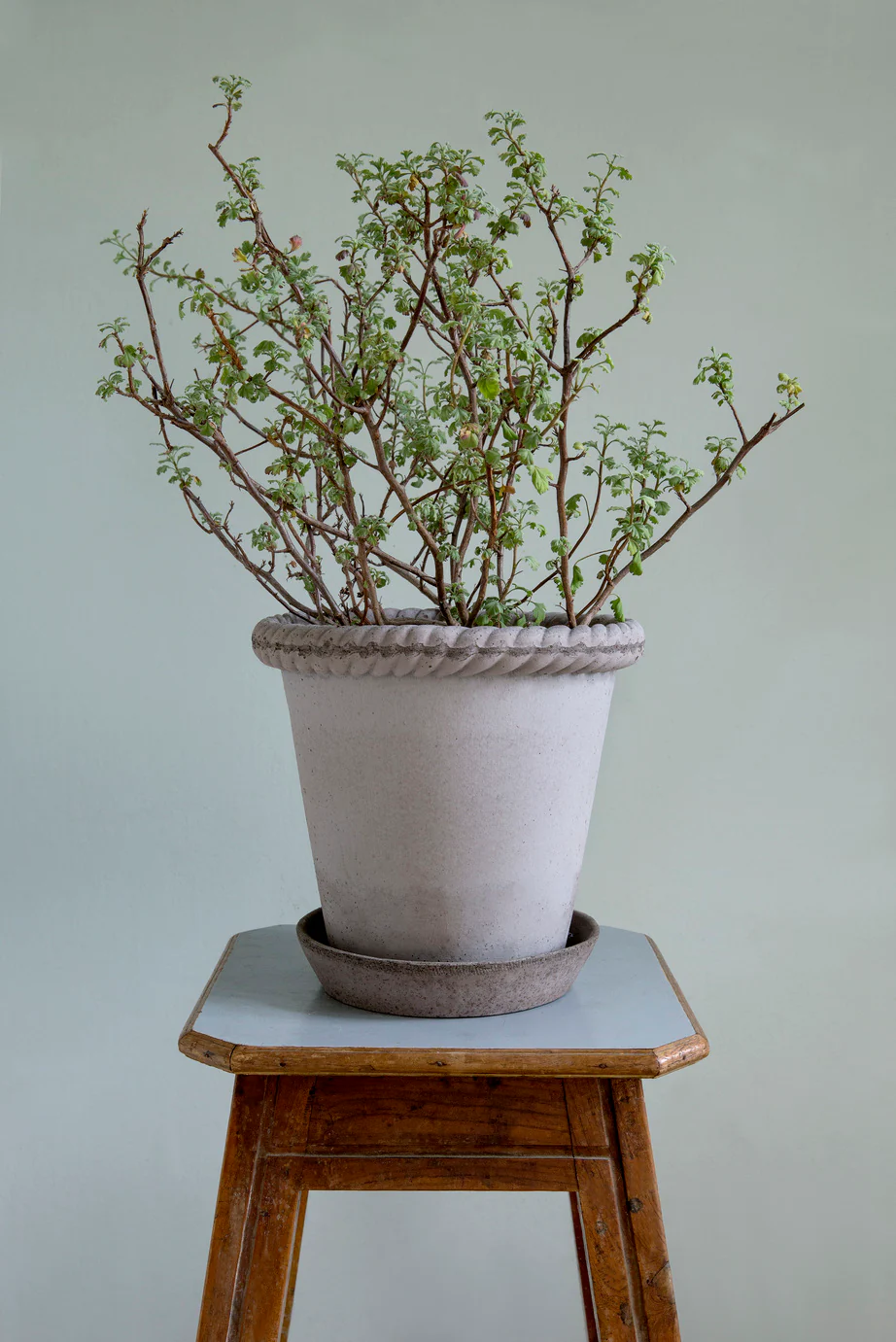 Miniatuur 3