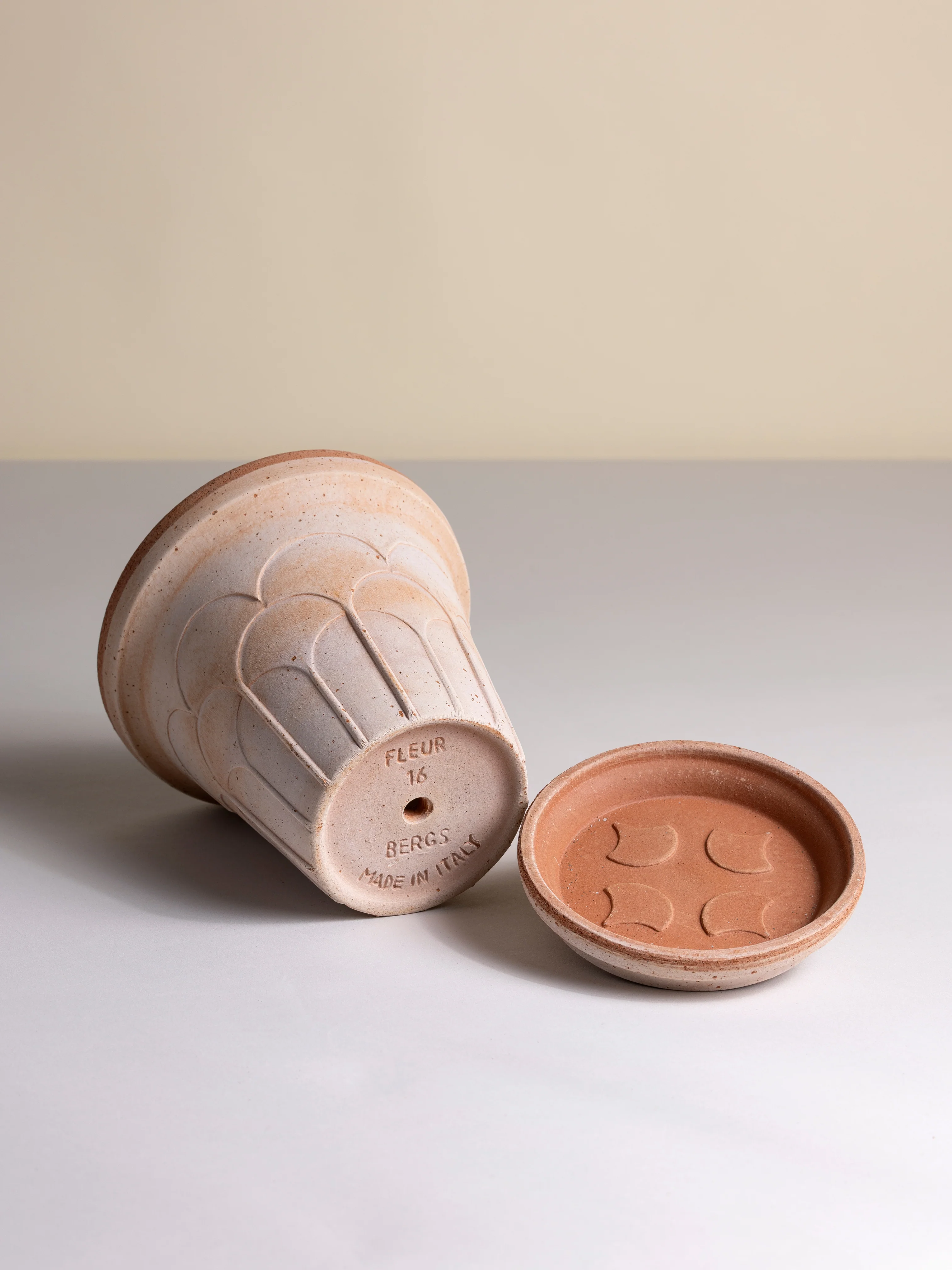 Miniatuur 2
