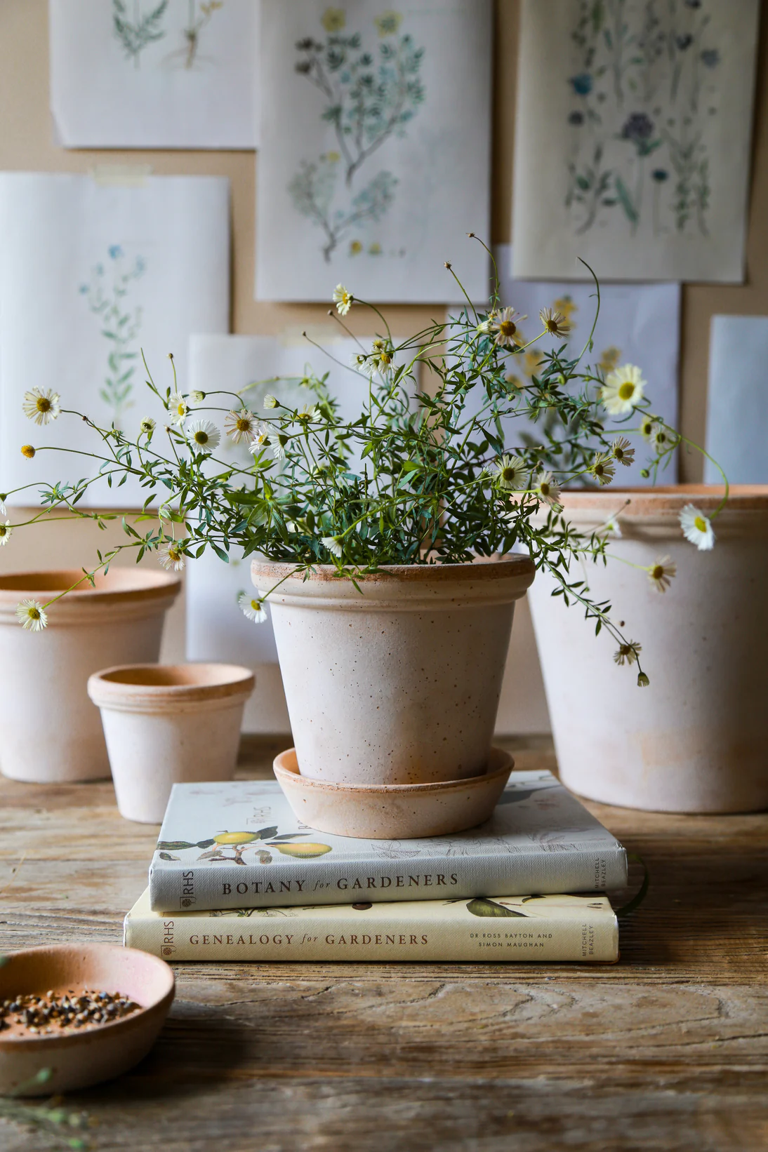 Miniatuur 1