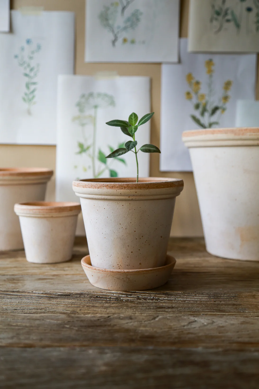 Miniatuur 2