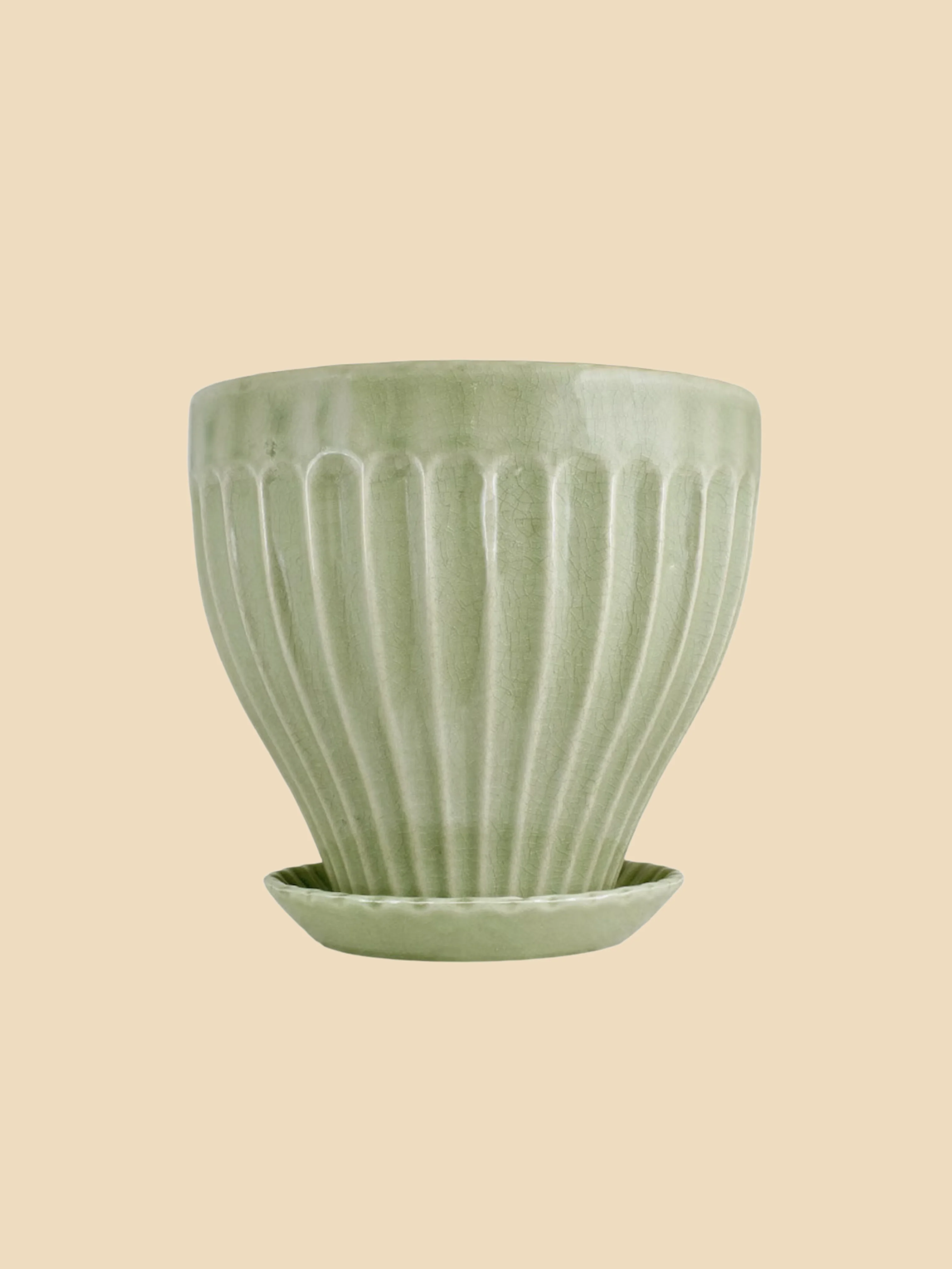 Miniatuur 1