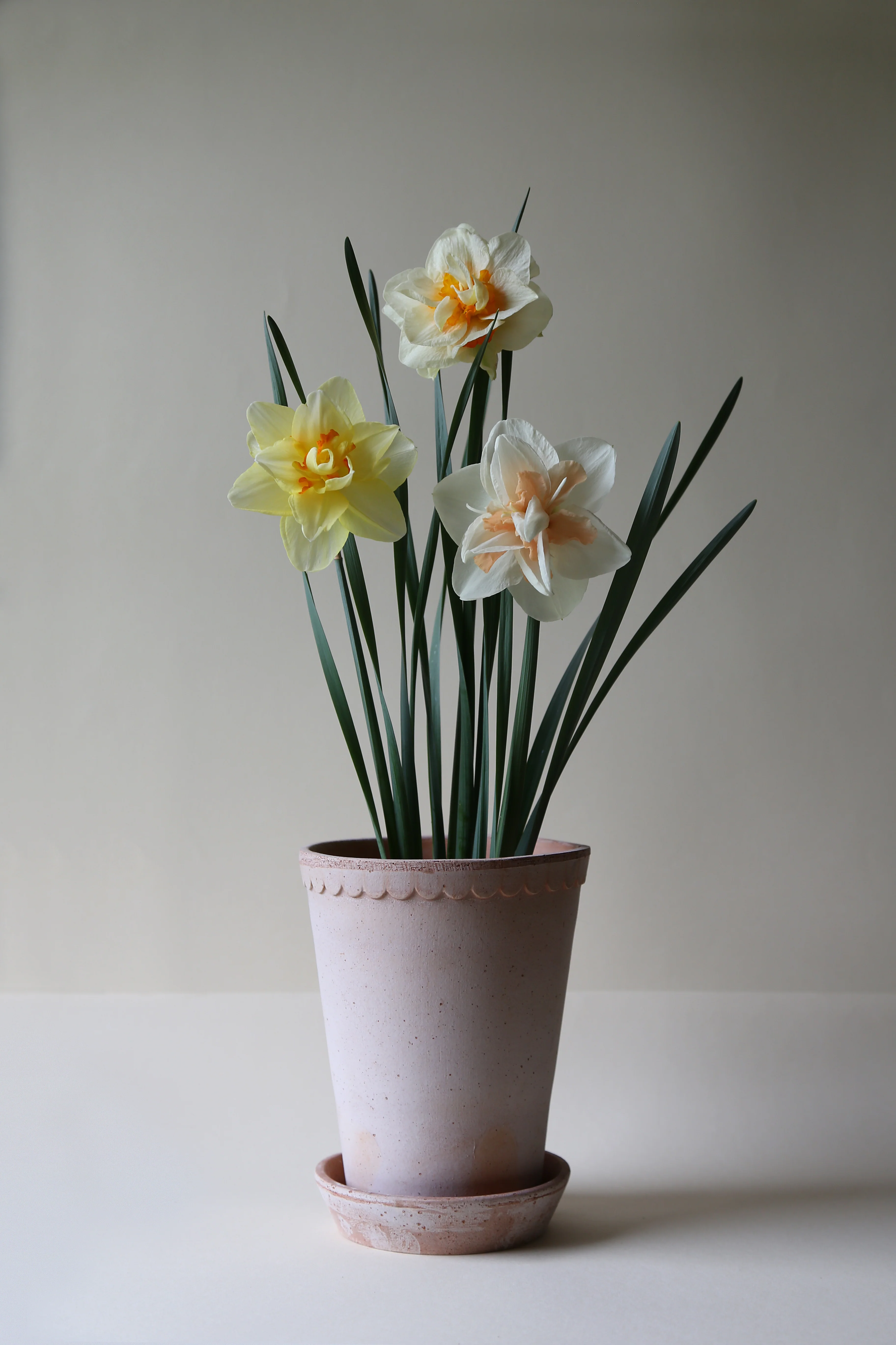 Miniatuur 1
