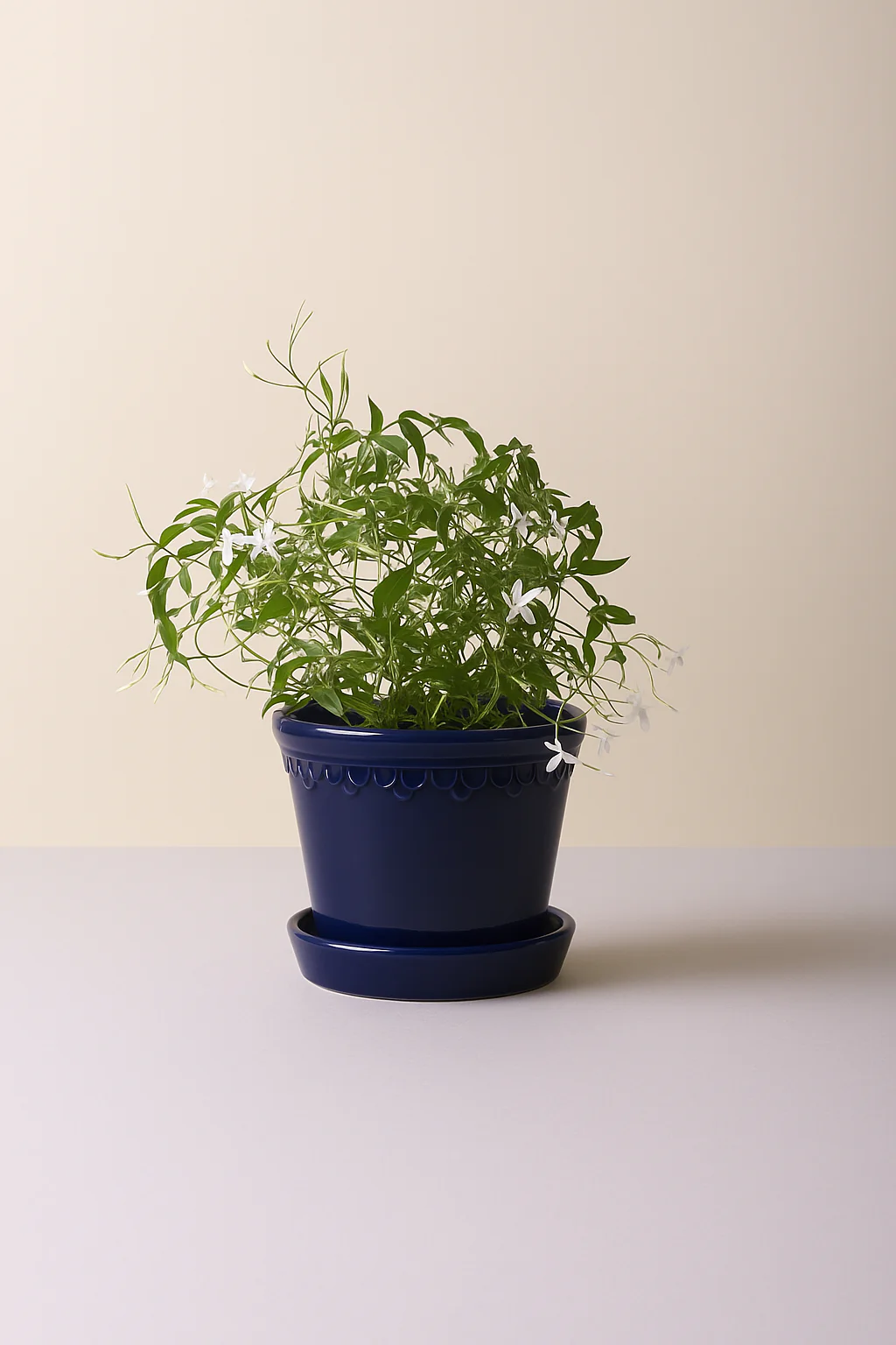 Miniatuur 6