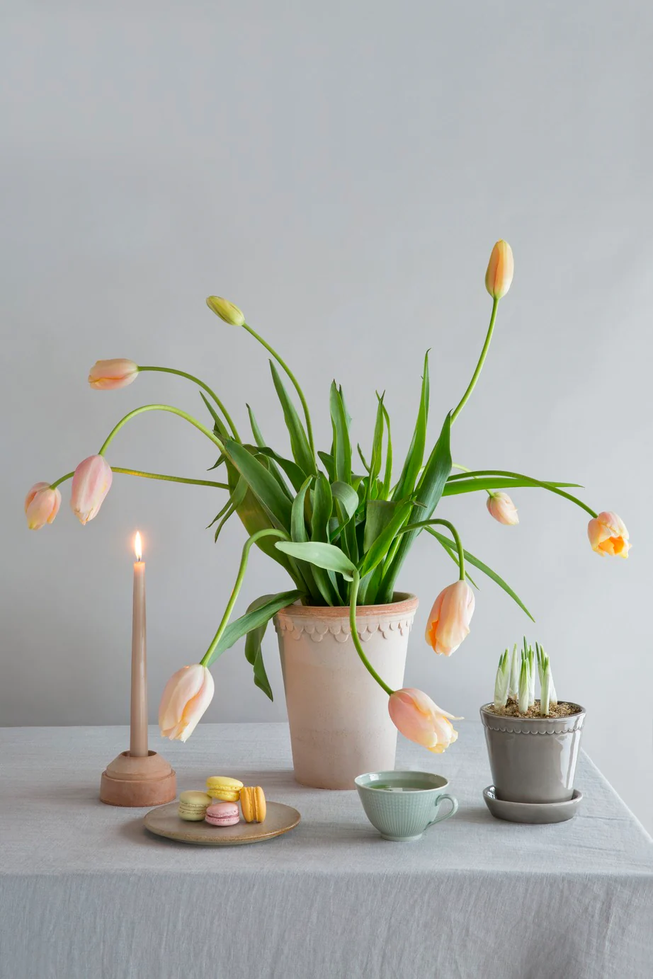 Miniatuur 2