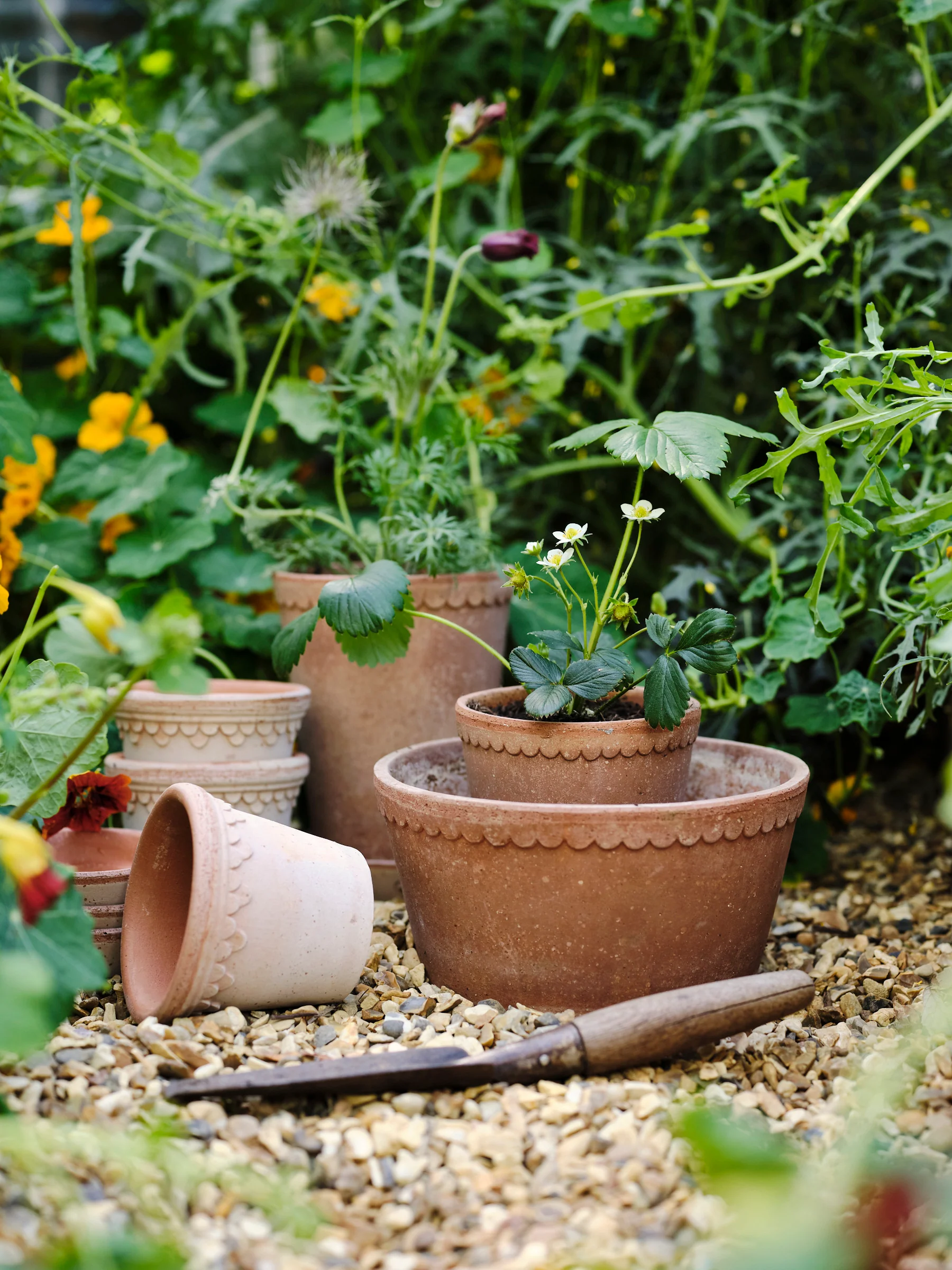 Miniatuur 2