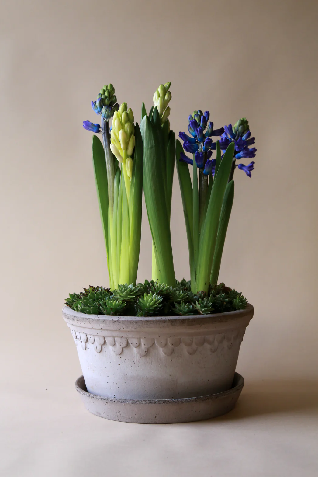 Miniatuur 4