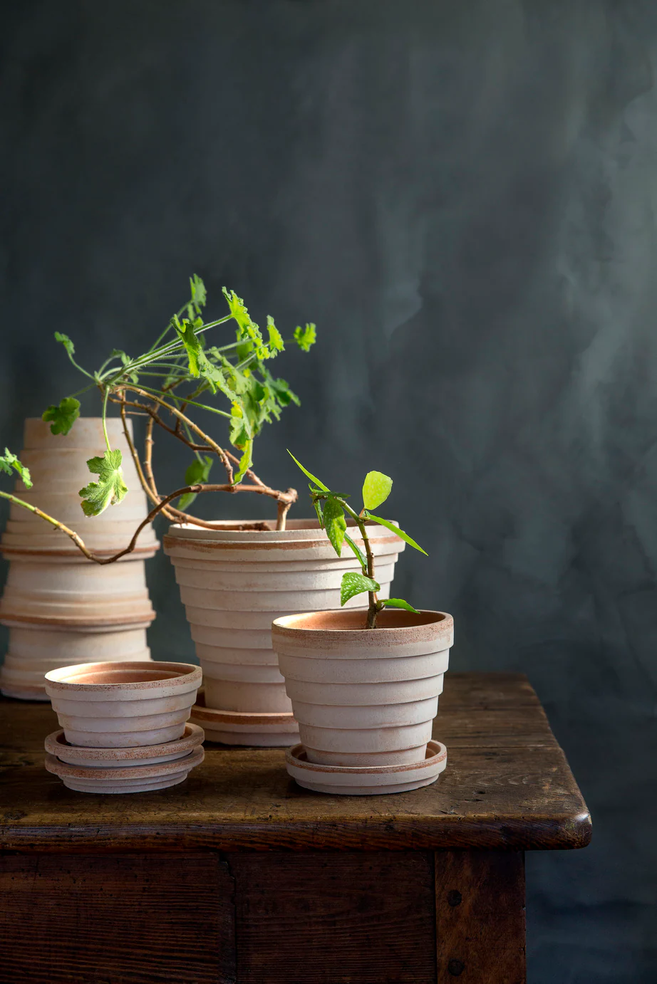 Miniatuur 1