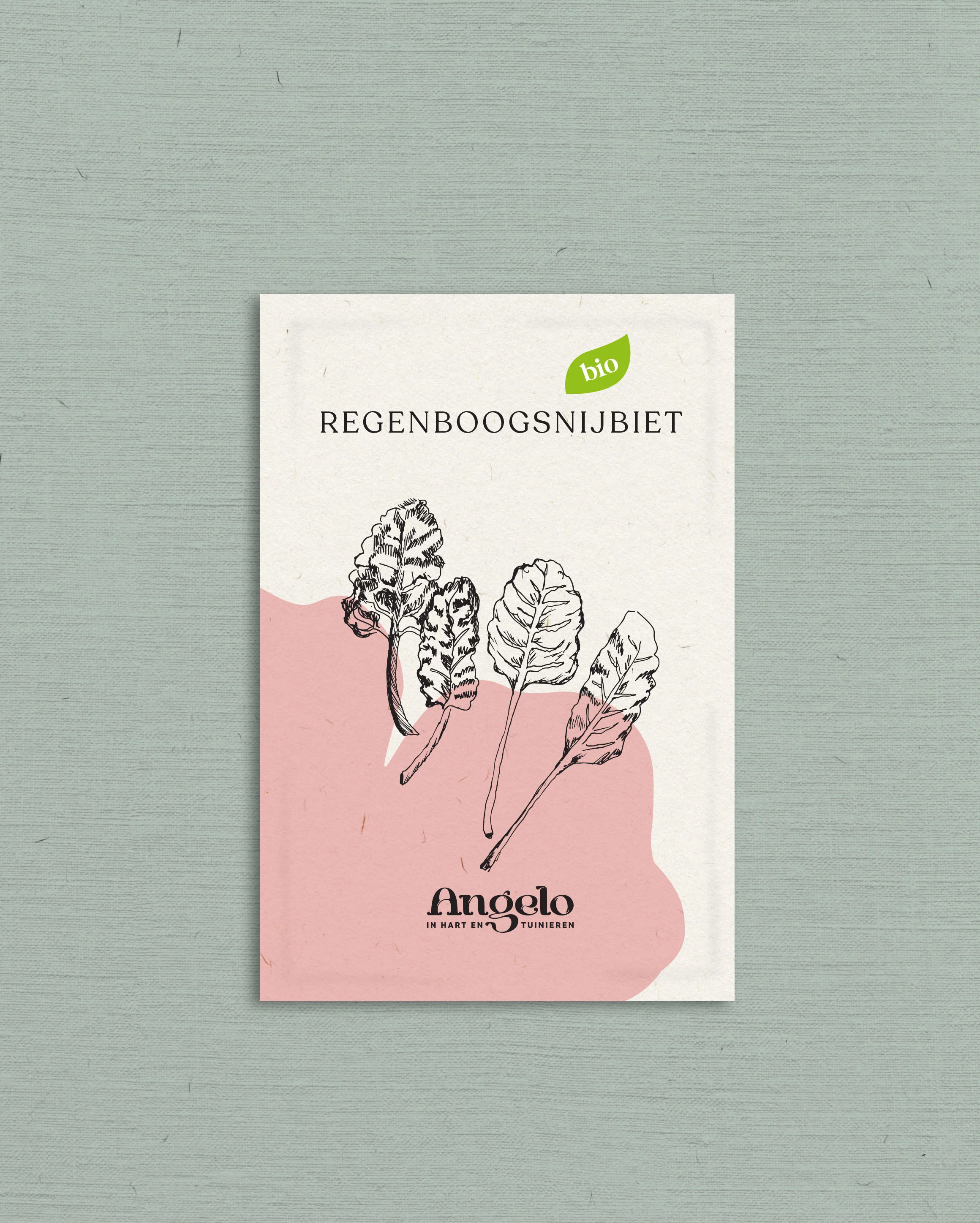 Miniatuur 2