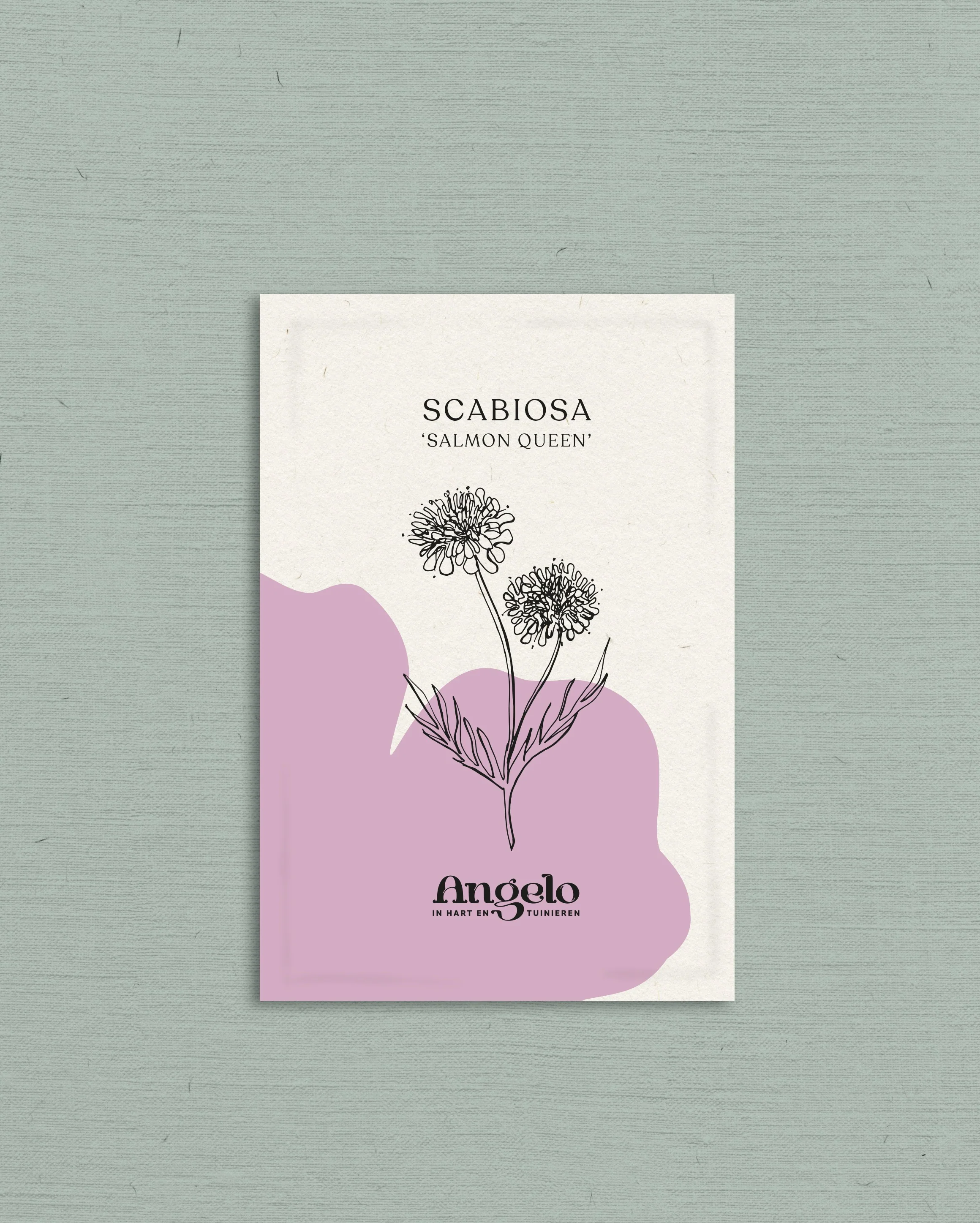 Miniatuur 2