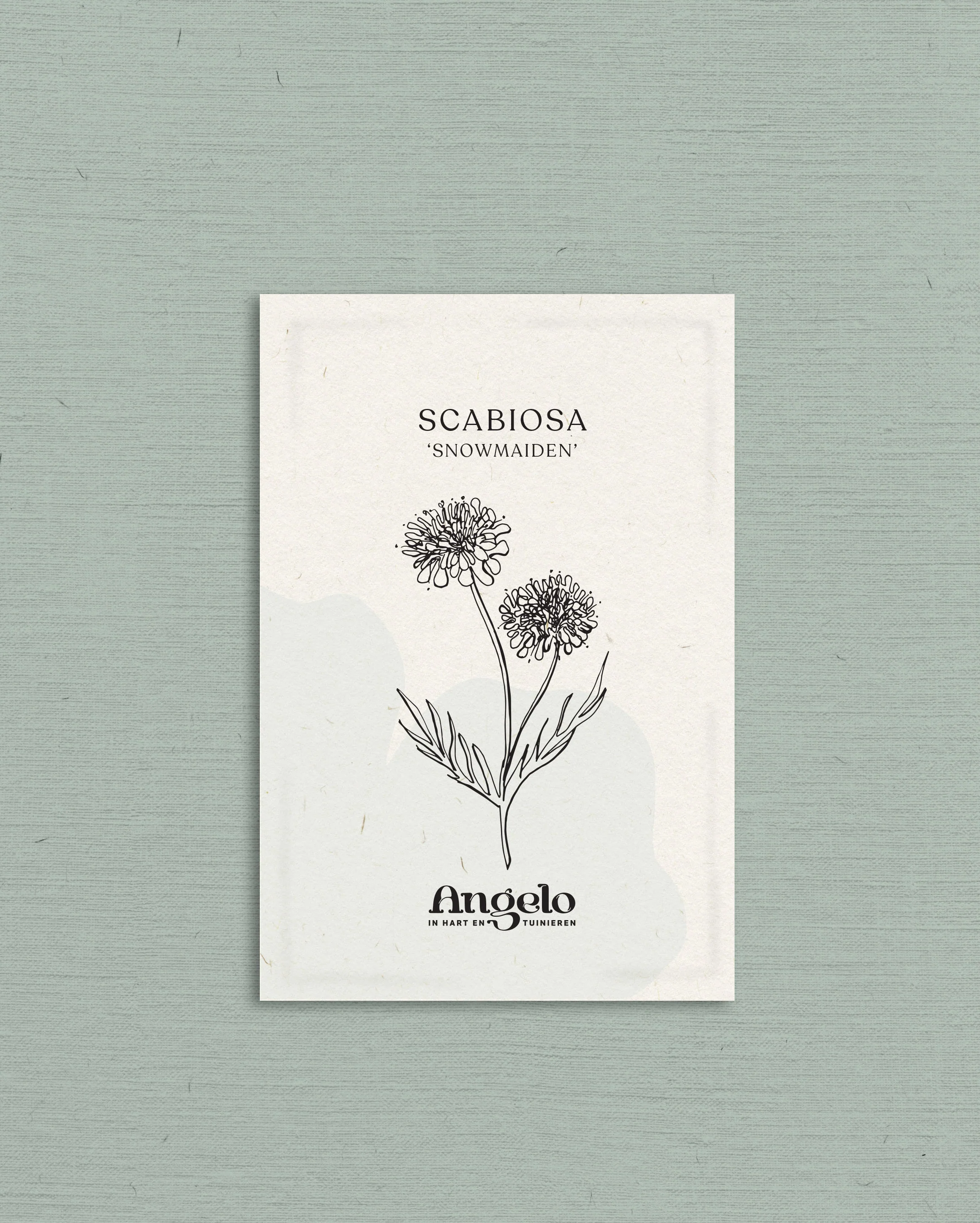 Miniatuur 2