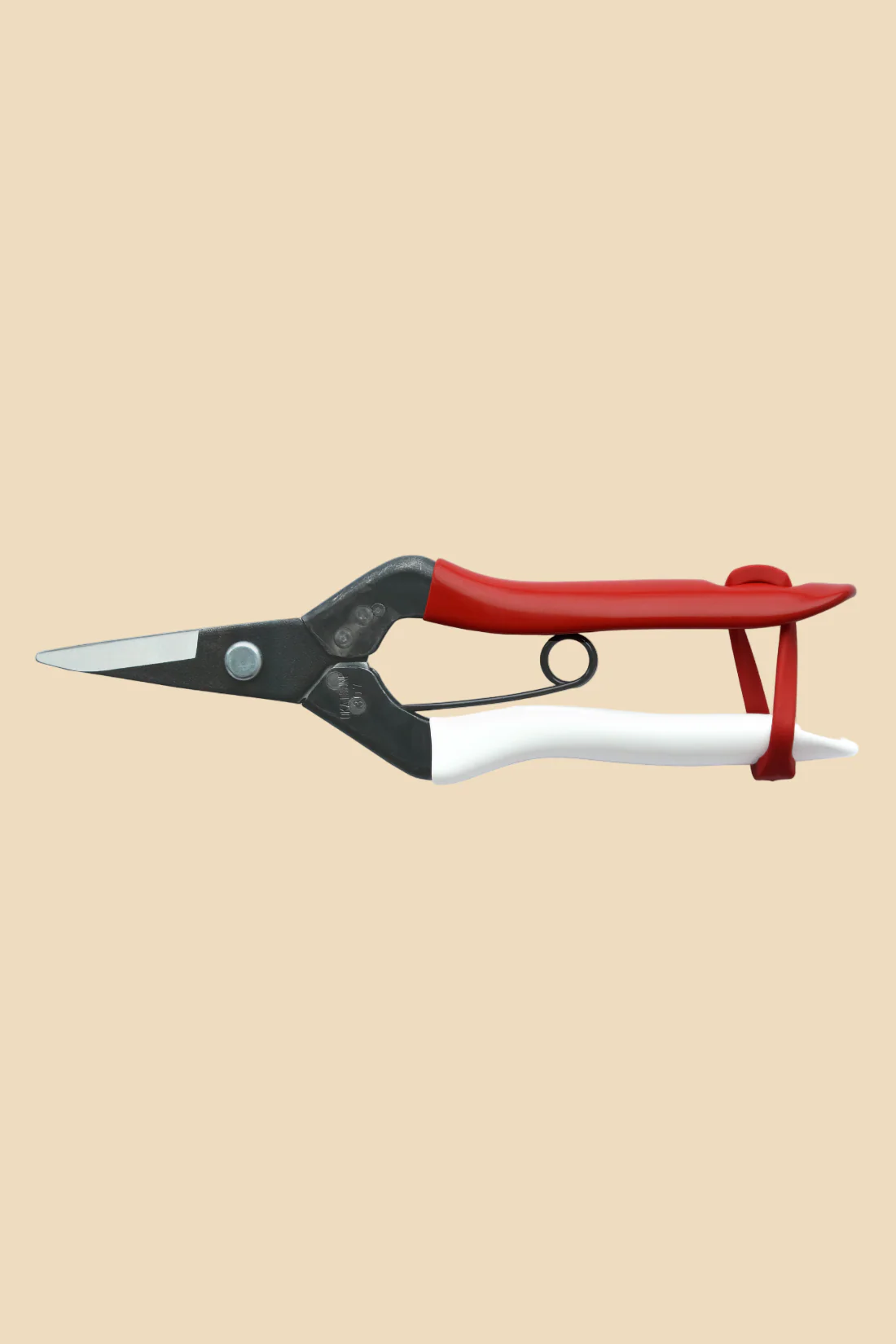 Miniatuur 1