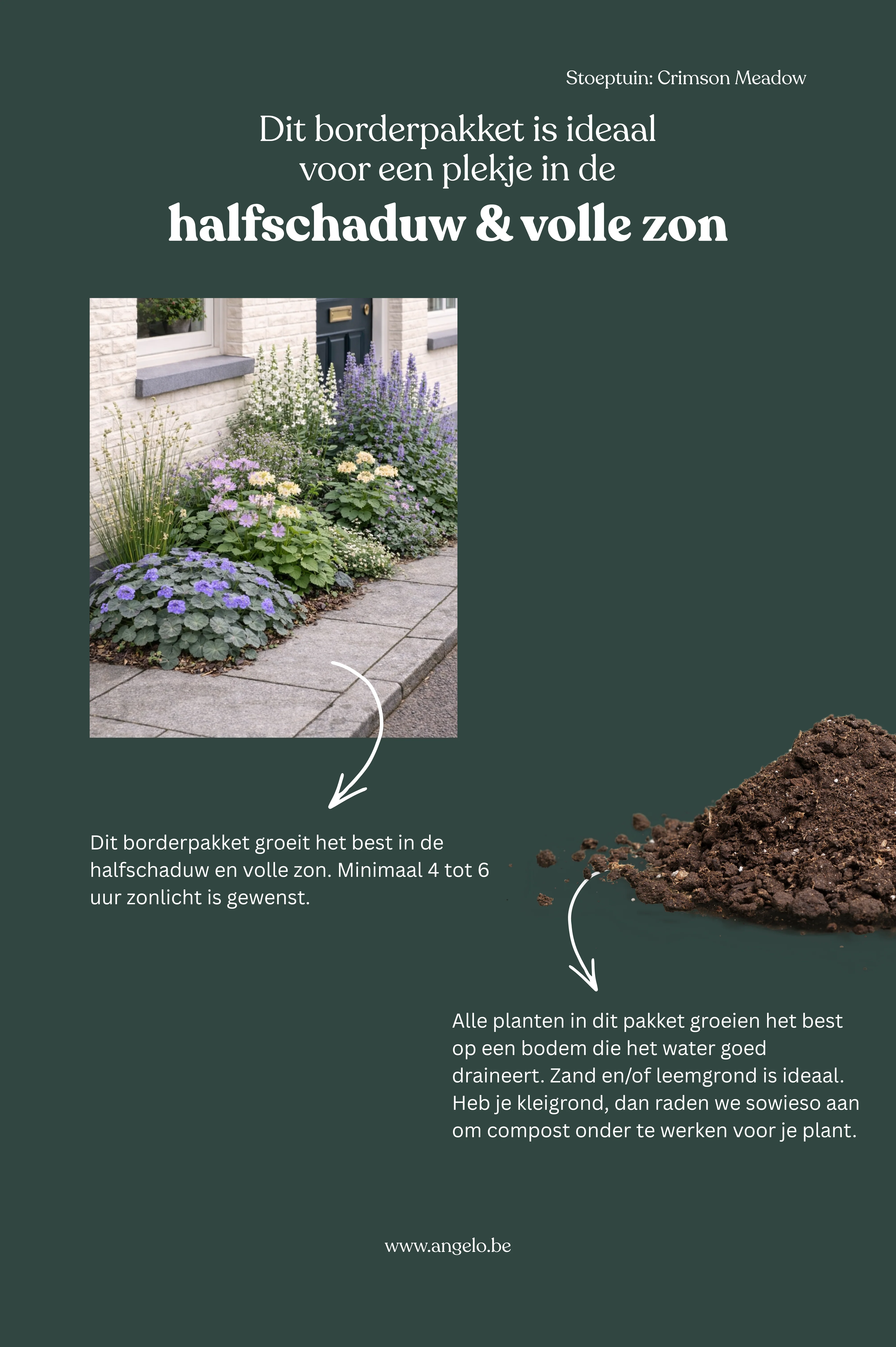 Miniatuur 4
