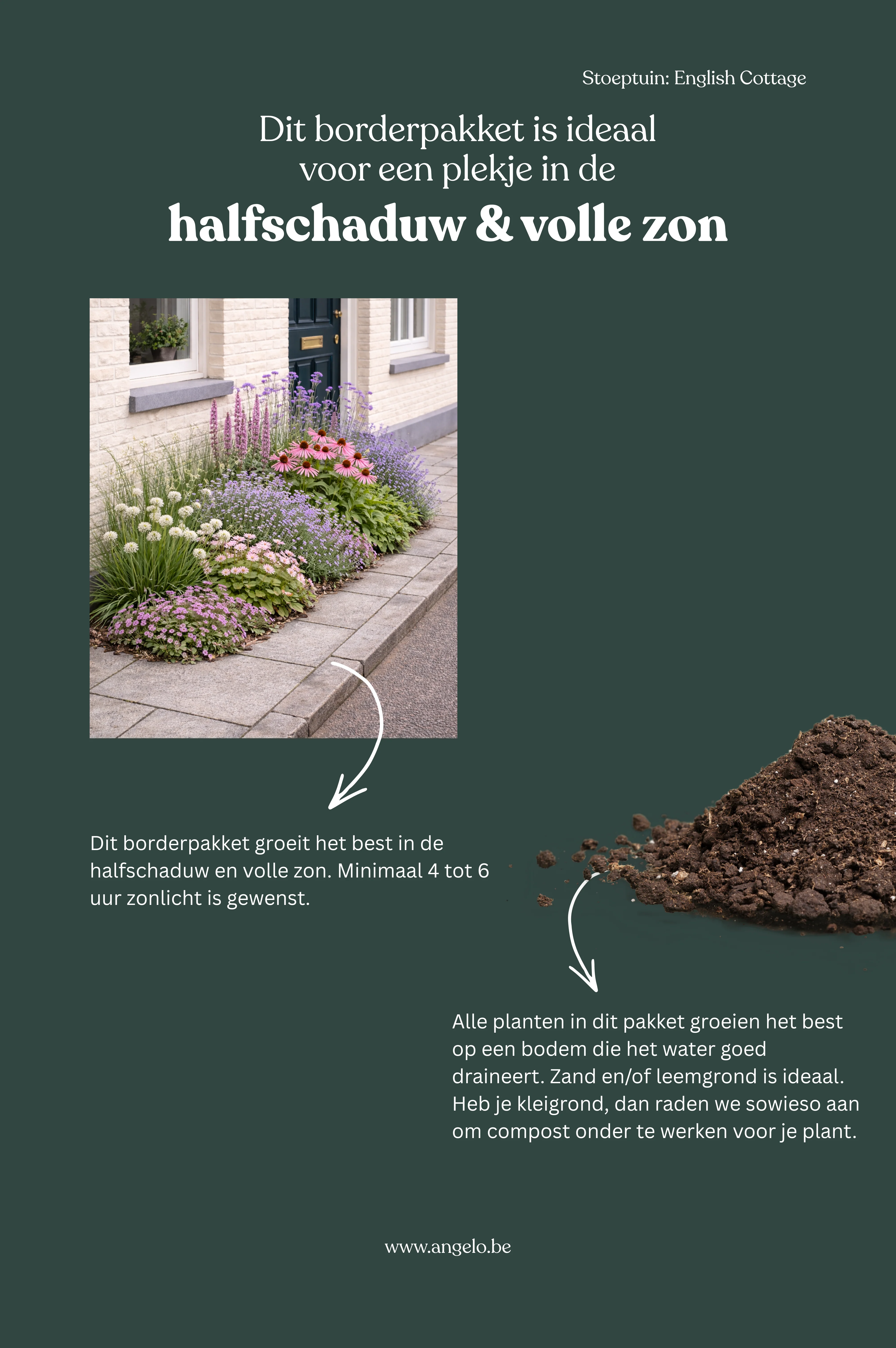 Miniatuur 4