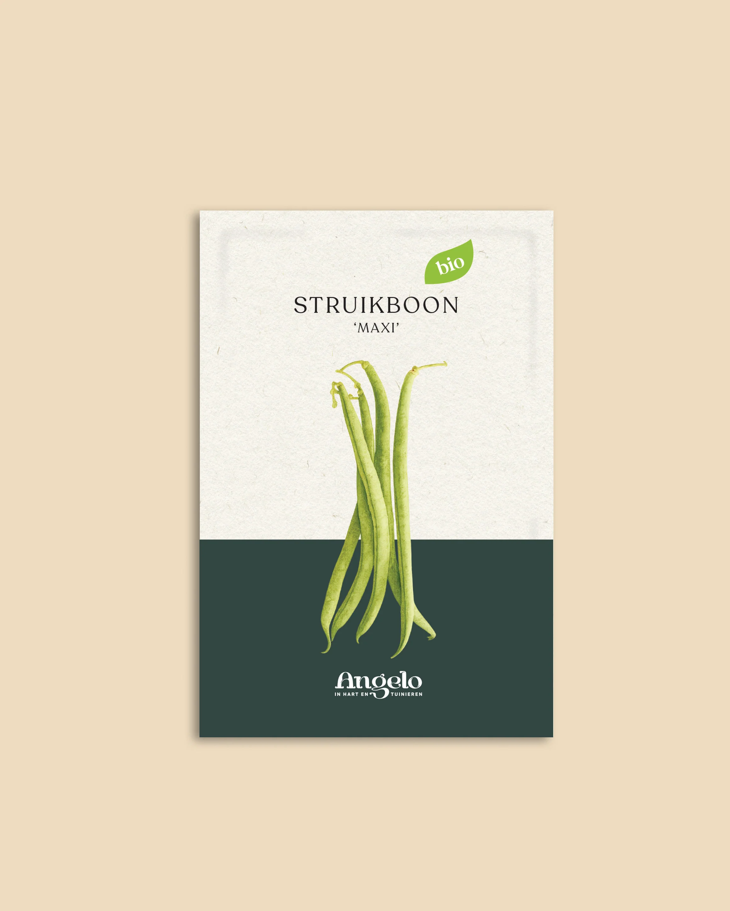 Miniatuur 2