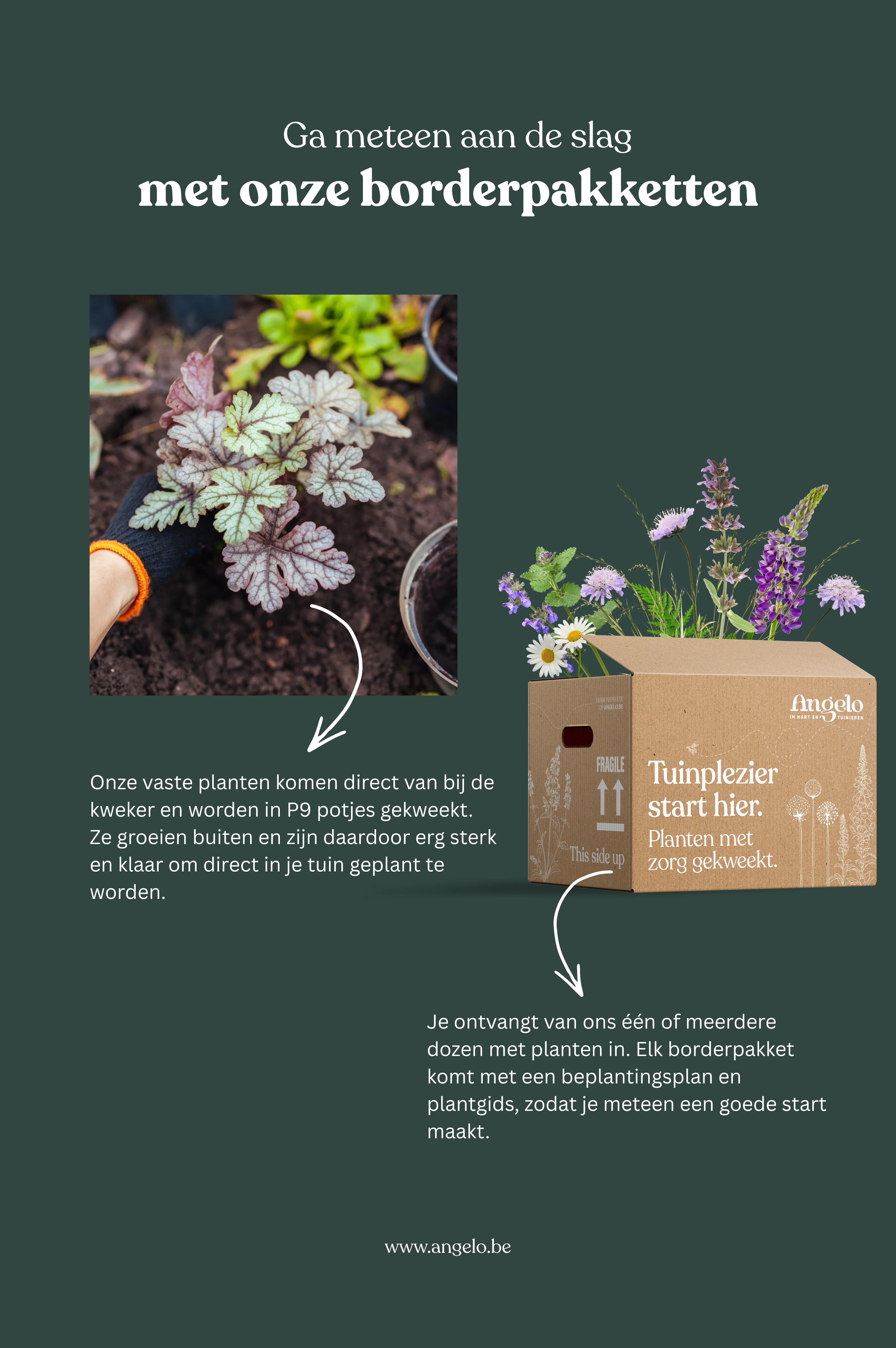 Miniatuur 4
