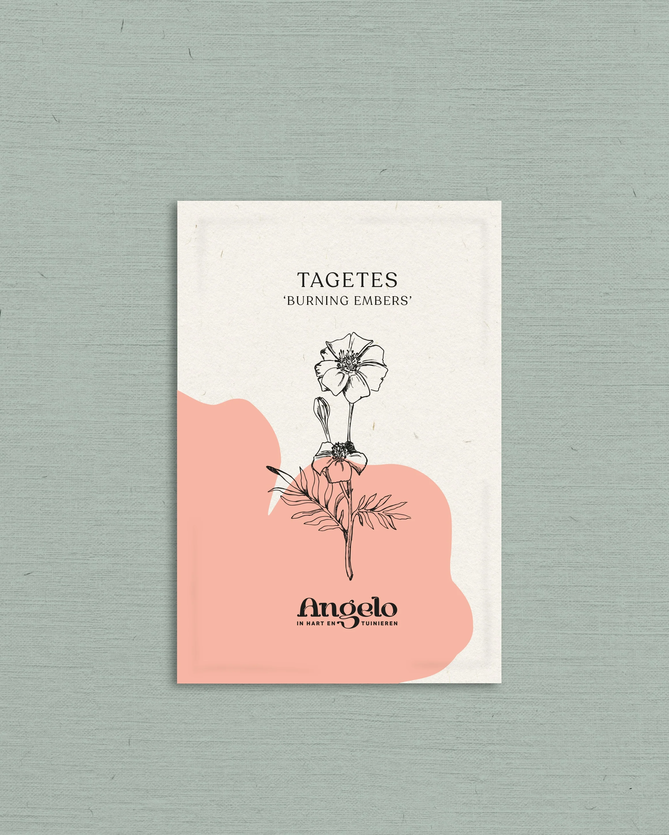 Miniatuur 2