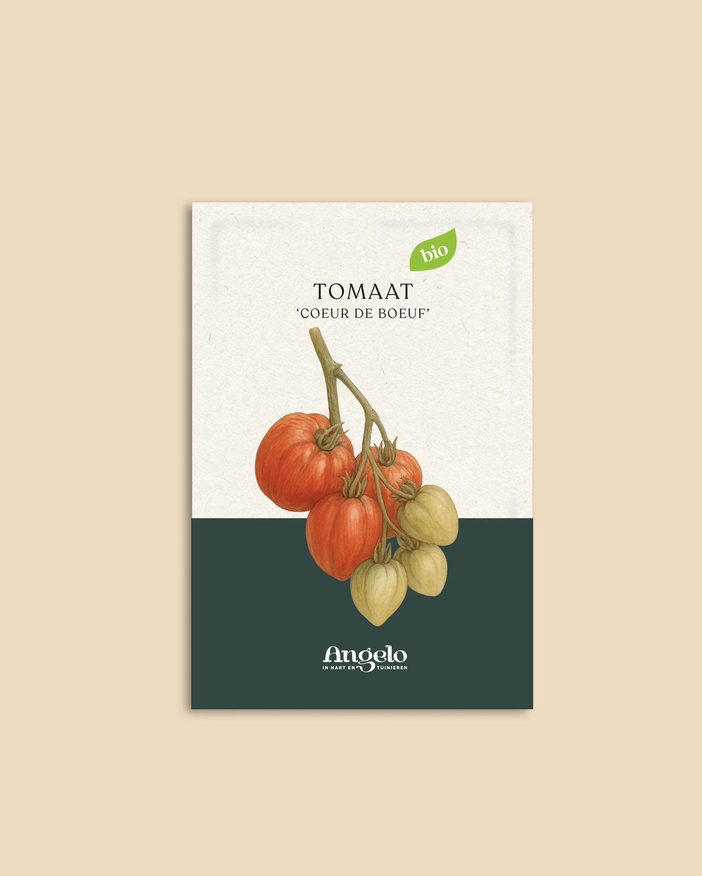 Miniatuur 2