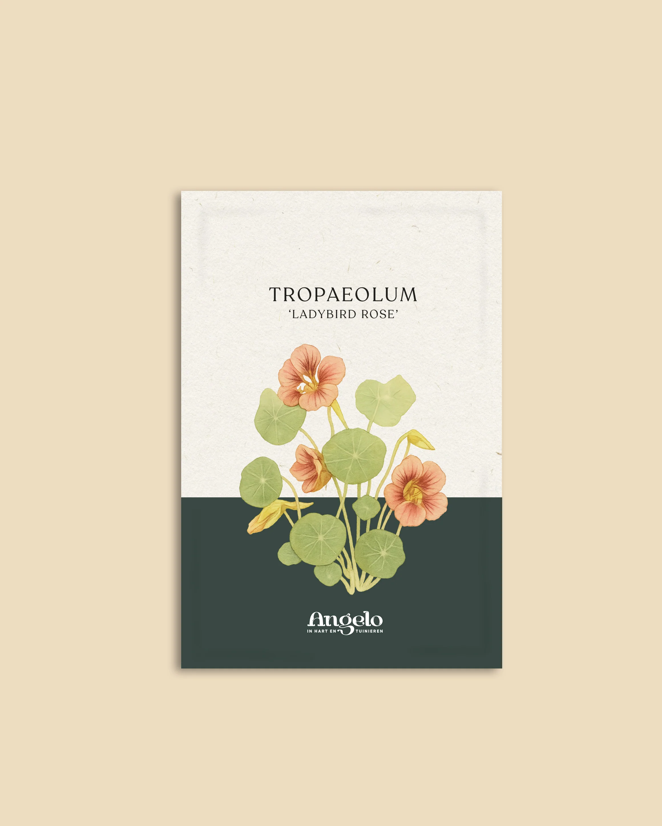Miniatuur 2