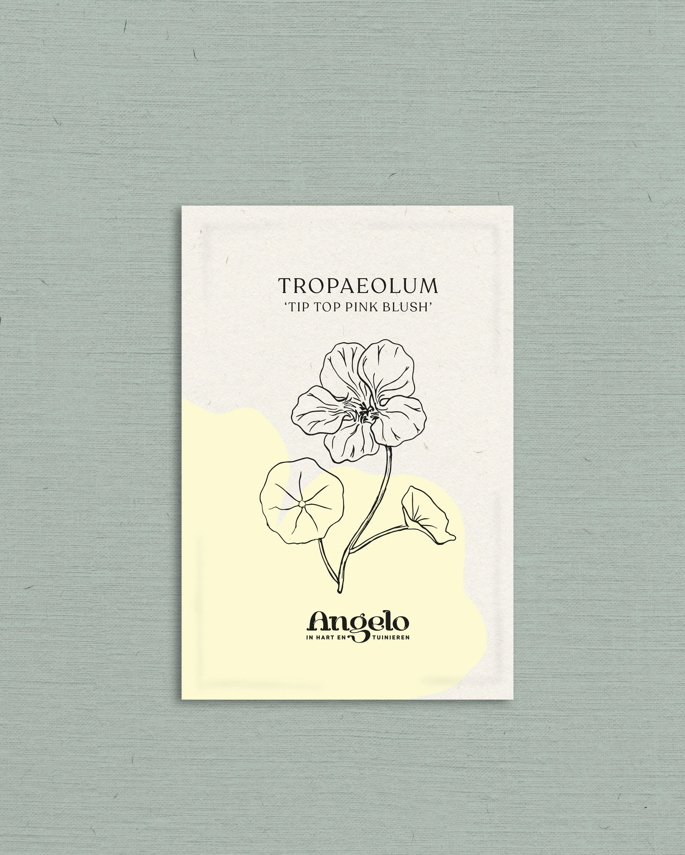 Miniatuur 2