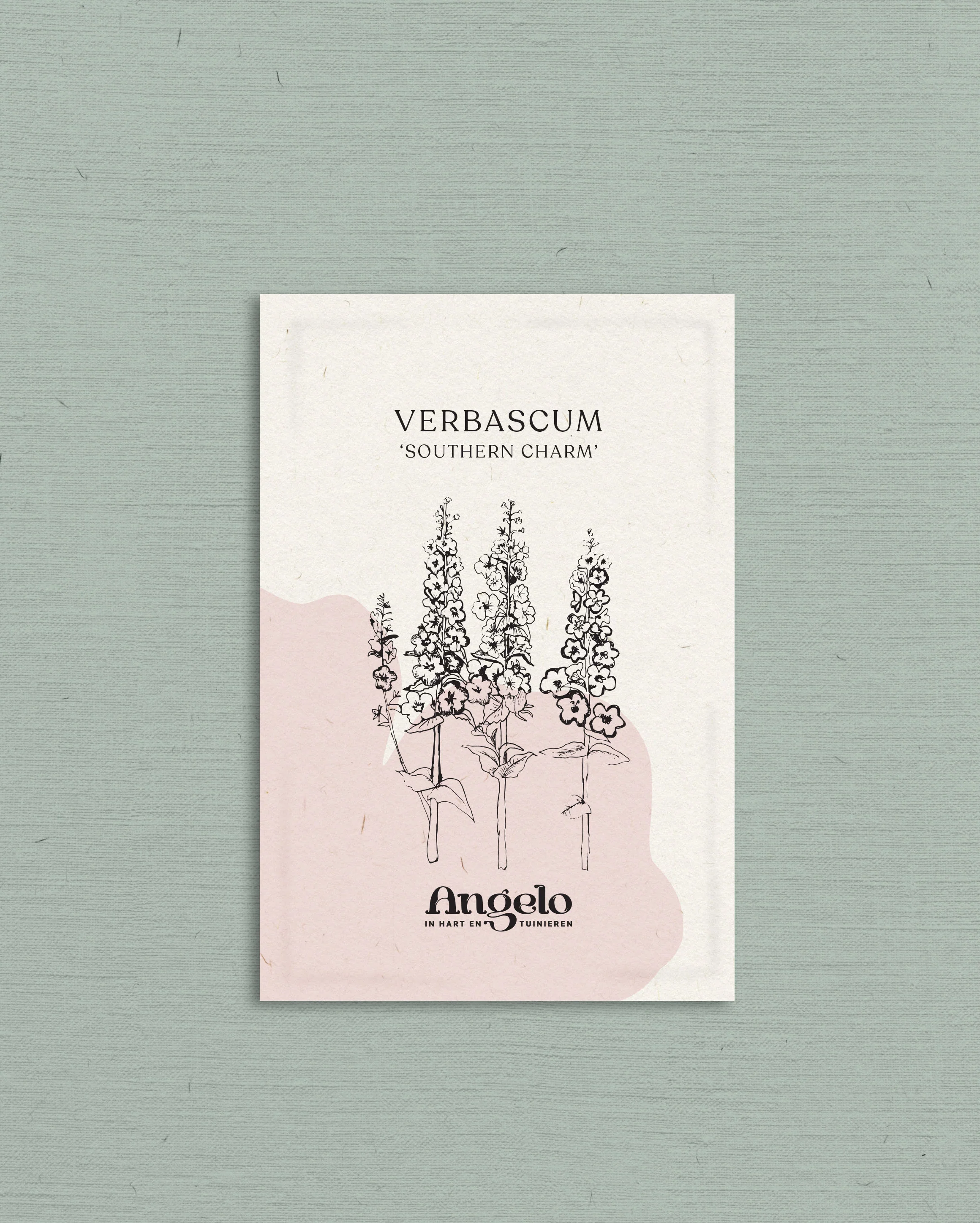 Miniatuur 2