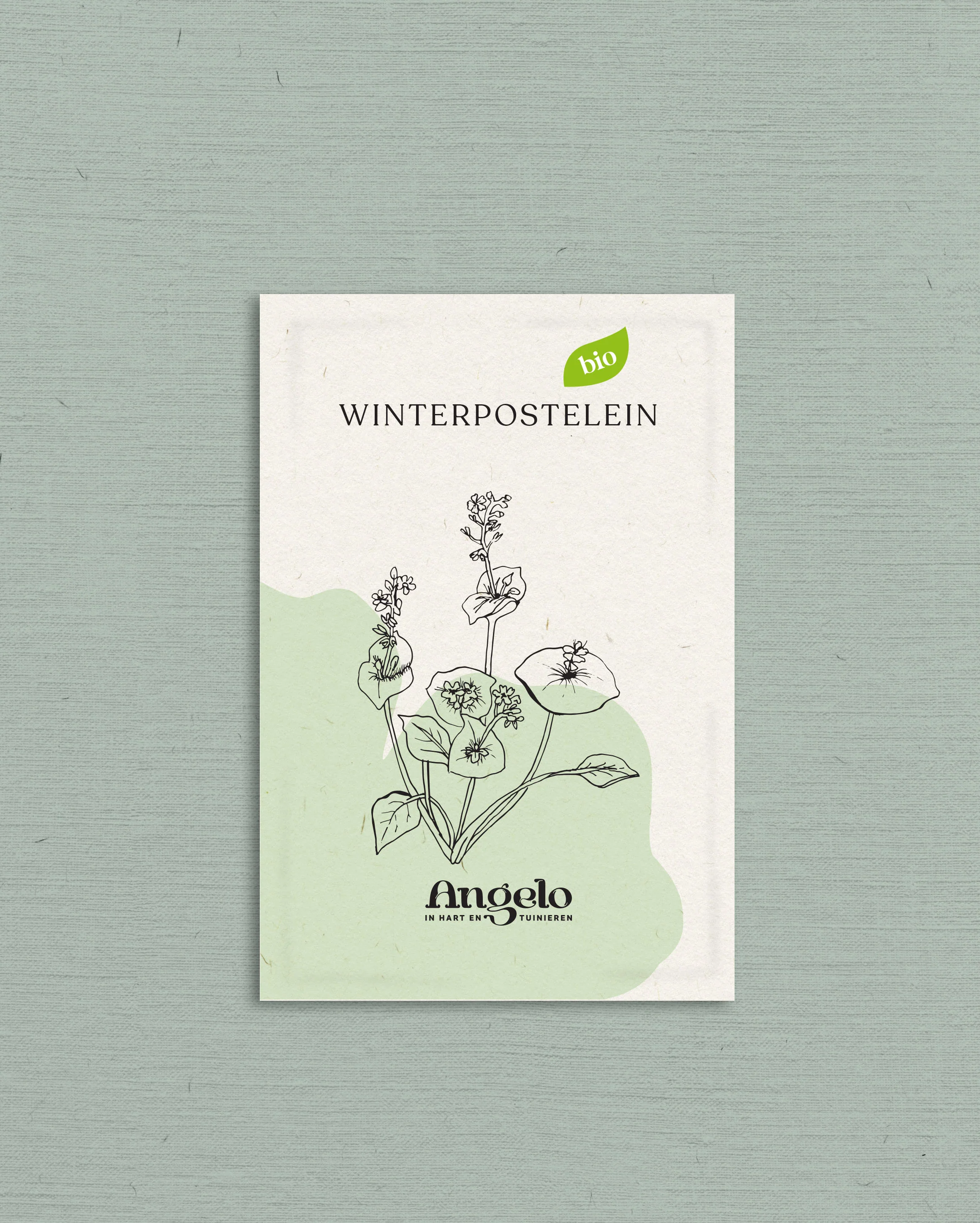 Miniatuur 2