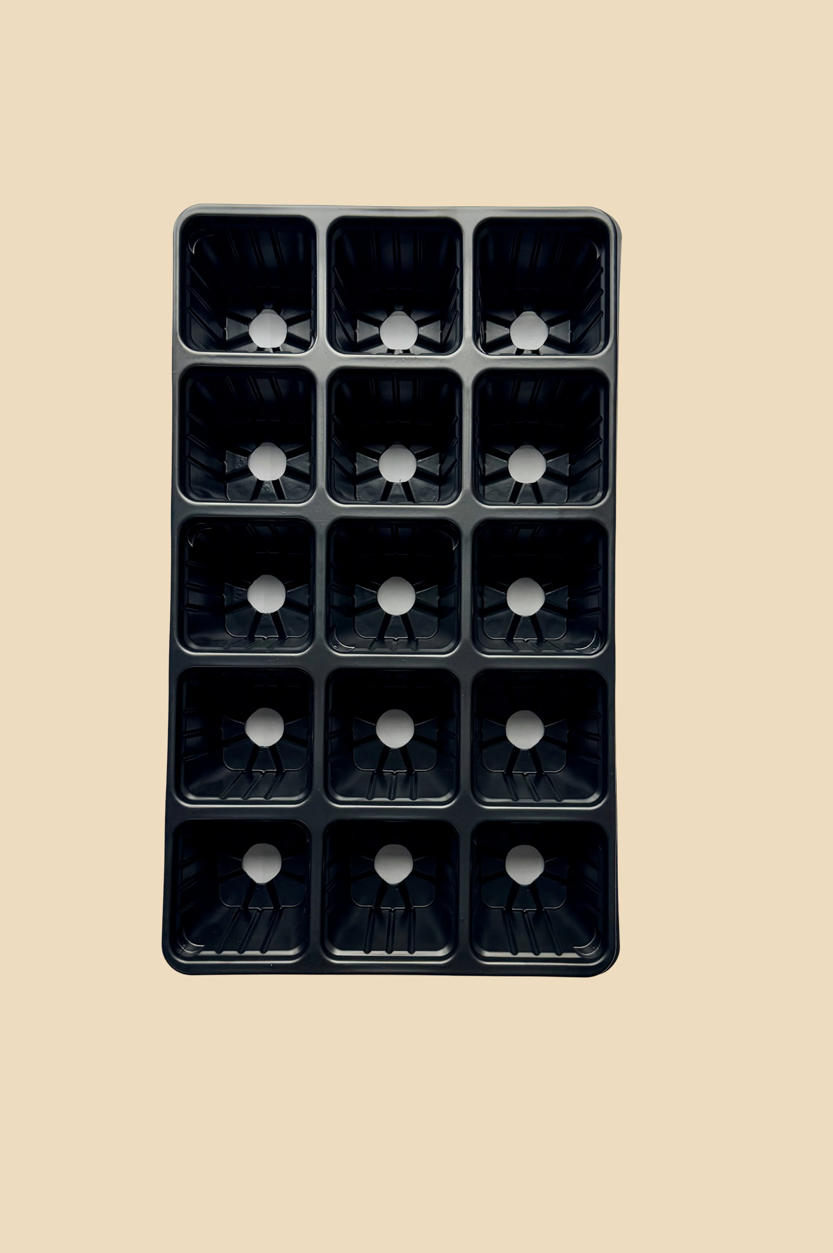 Miniatuur 2