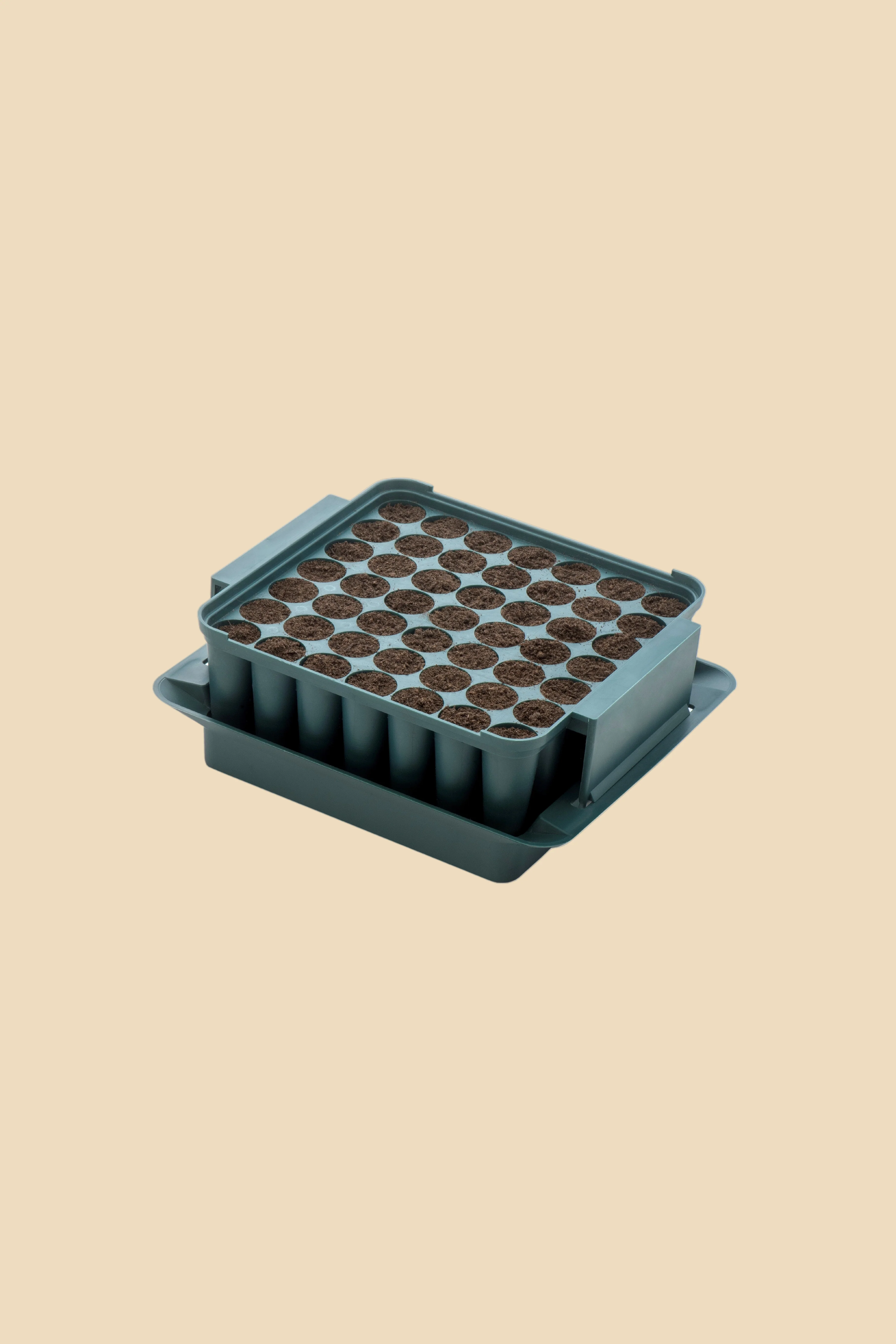Miniatuur 2