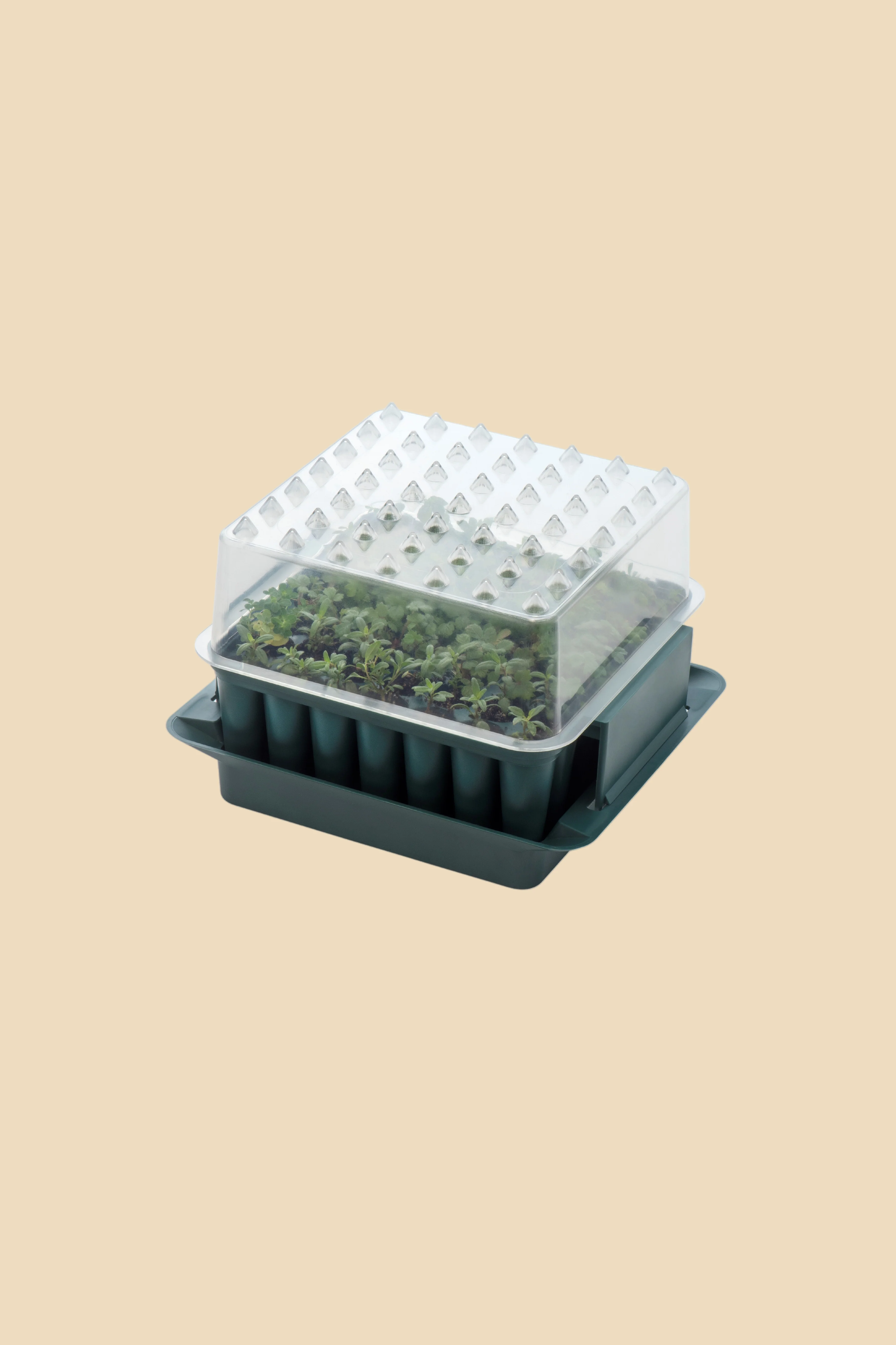 Miniatuur 3