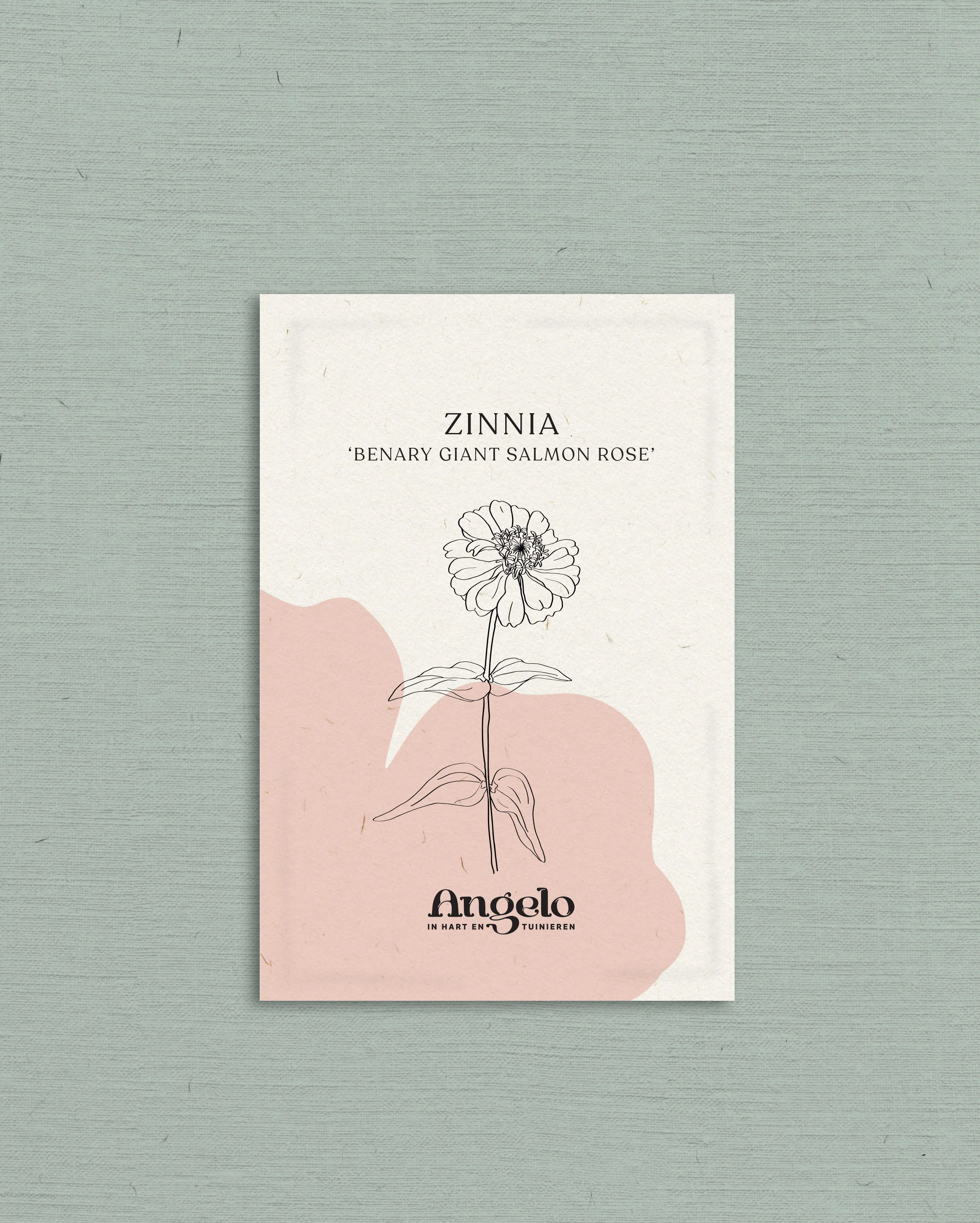 Miniatuur 2