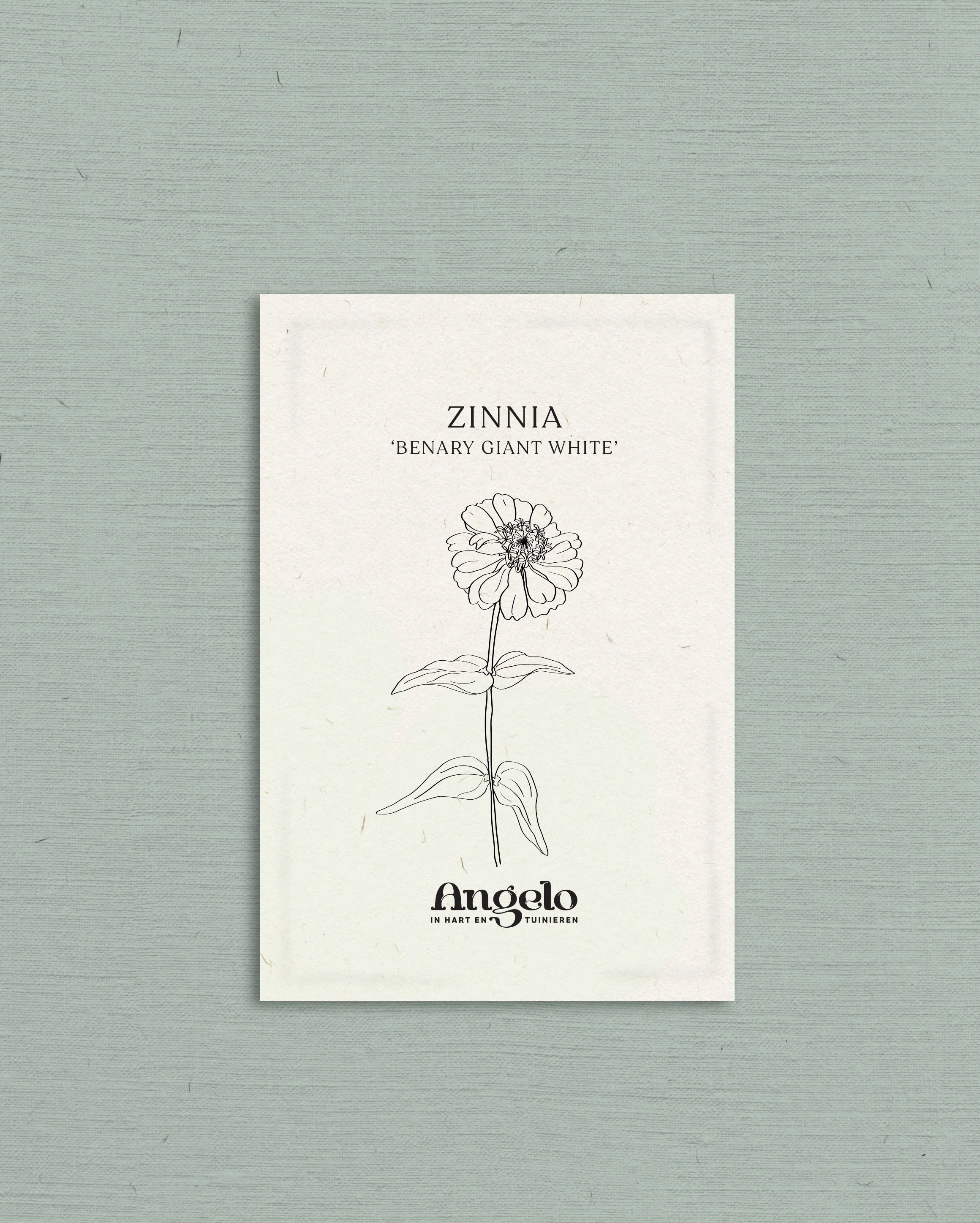 Miniatuur 2