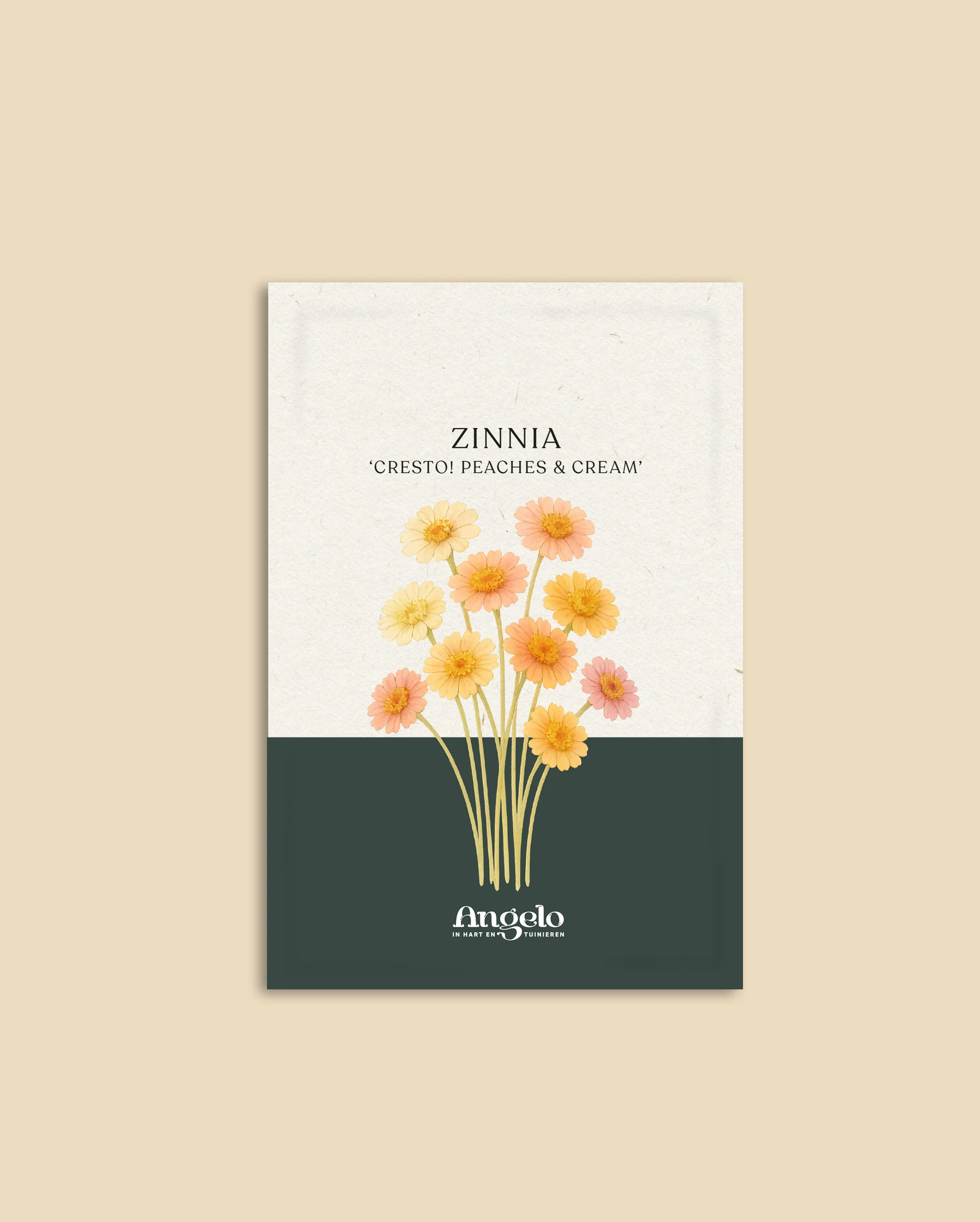 Miniatuur 2