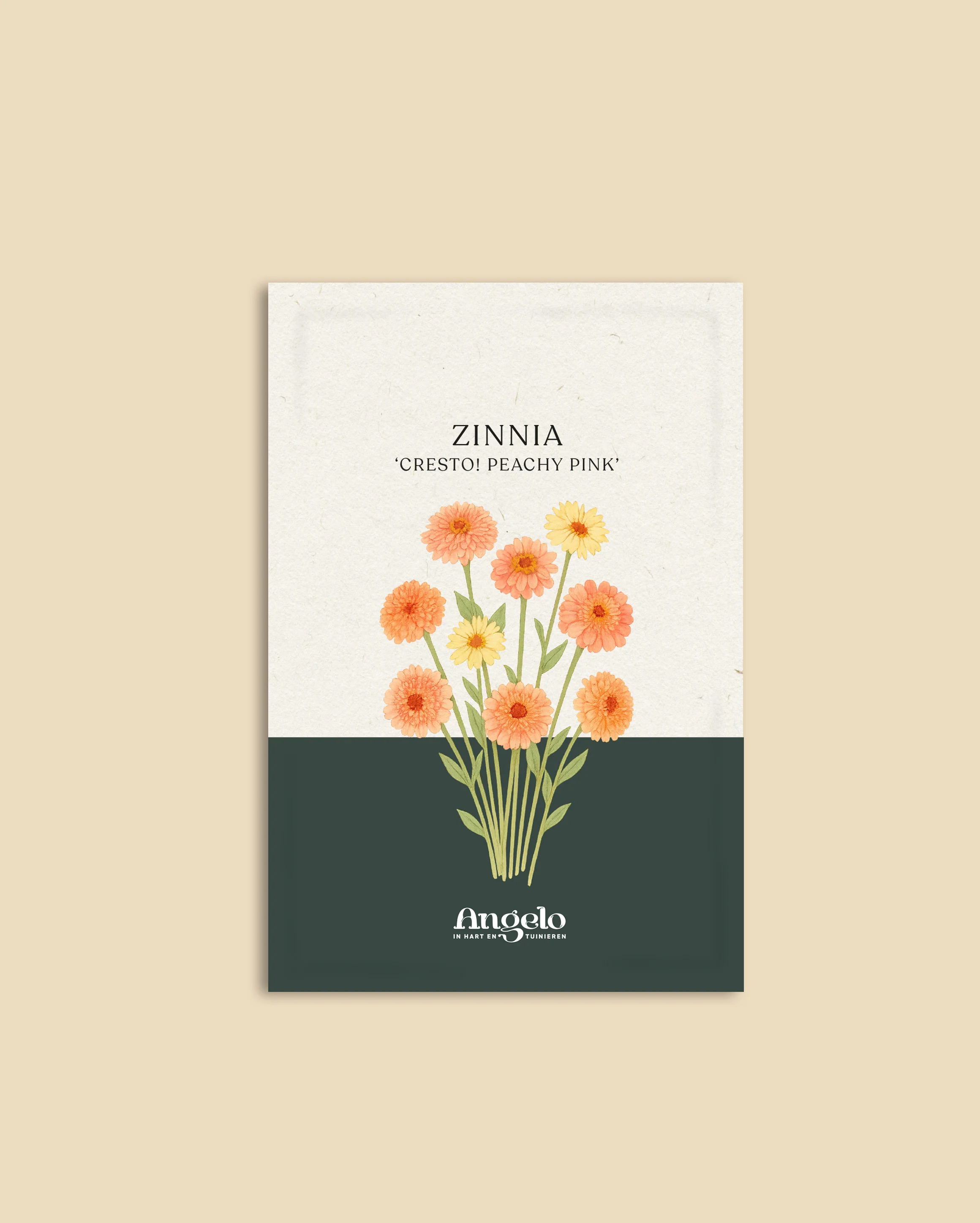 Miniatuur 2