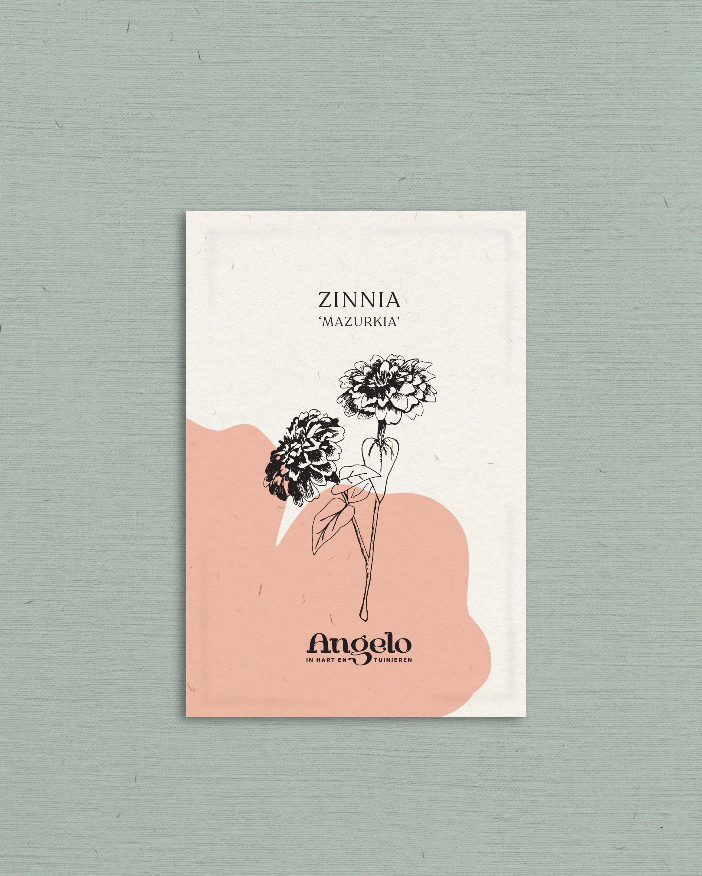 Miniatuur 2