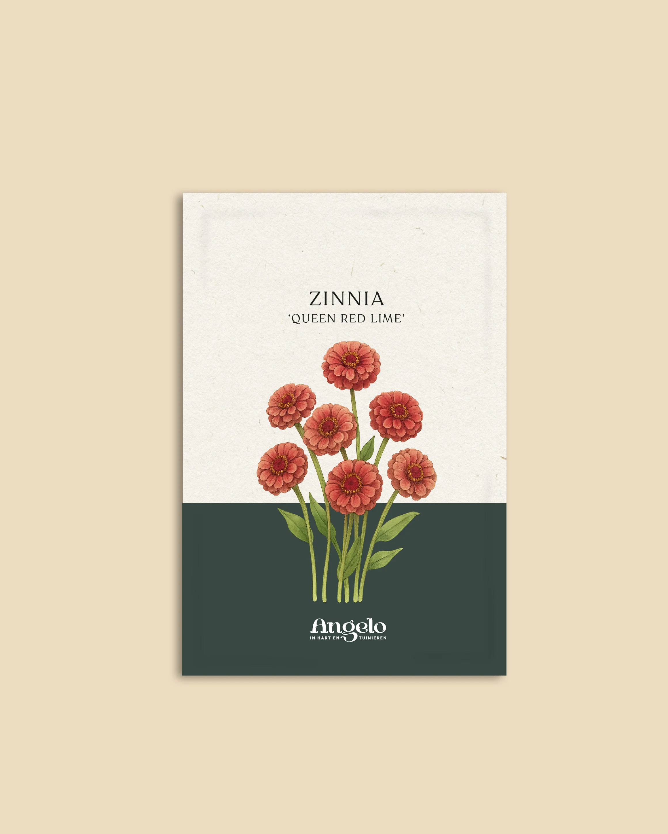 Miniatuur 2